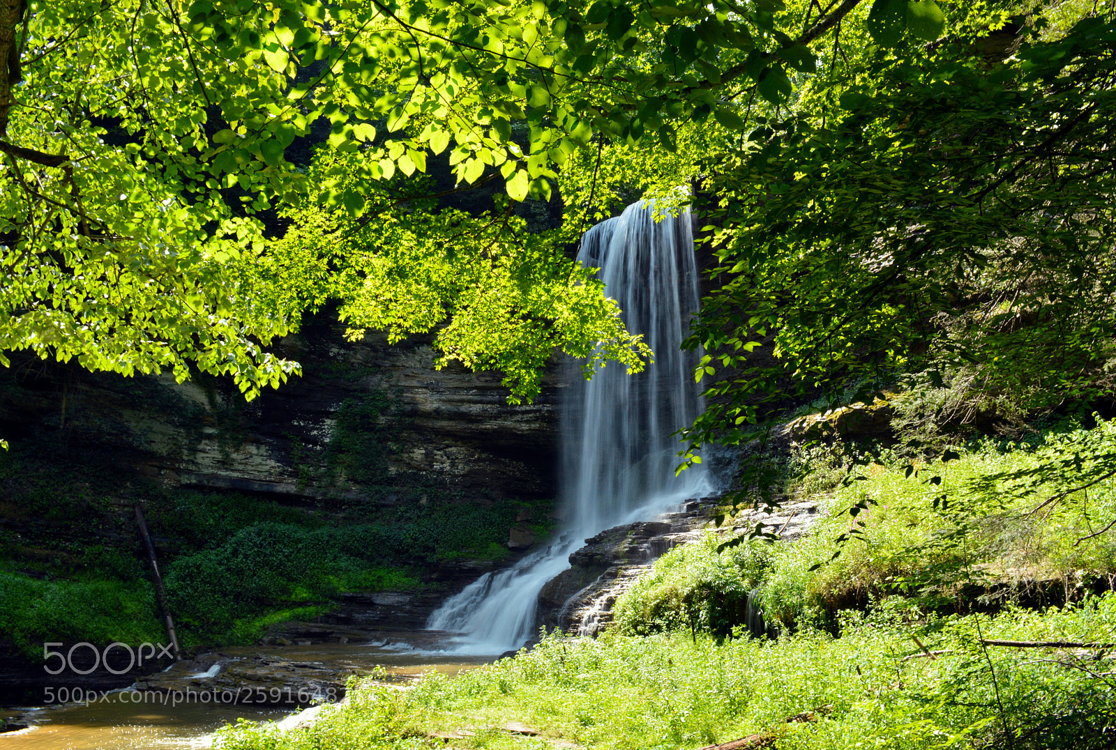 Nikon D3200 sample photo. Abrahms falls photography