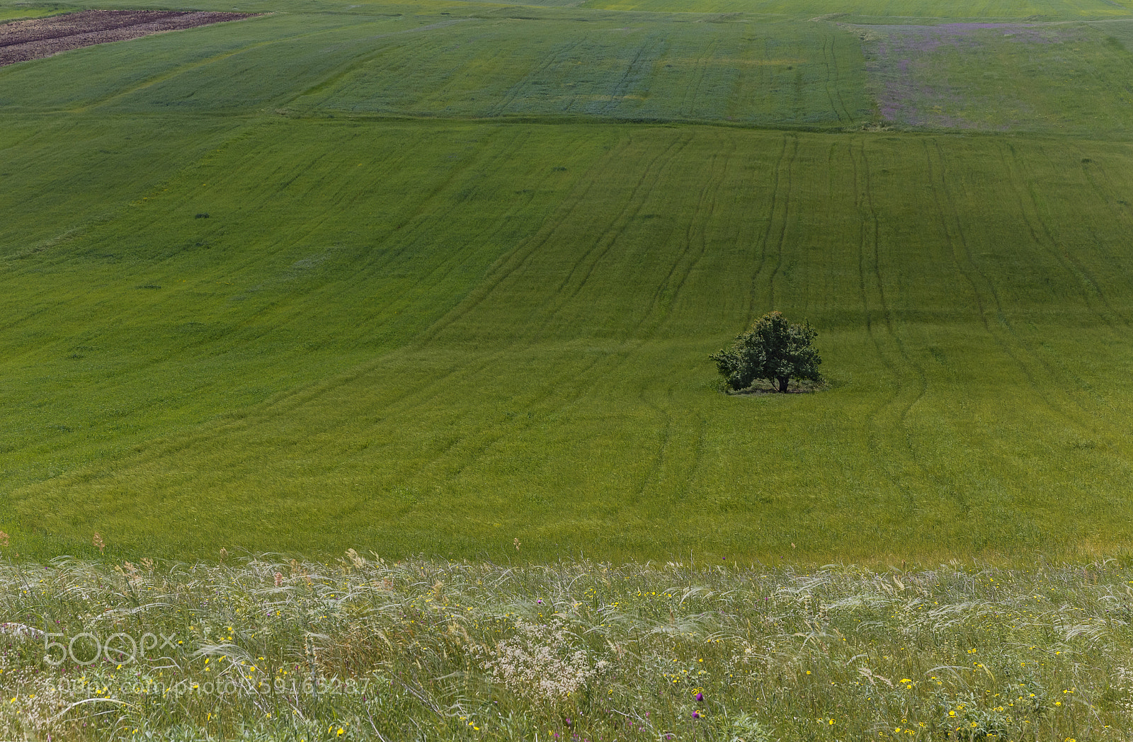 Canon EOS 6D sample photo. Cultivated fields and a photography