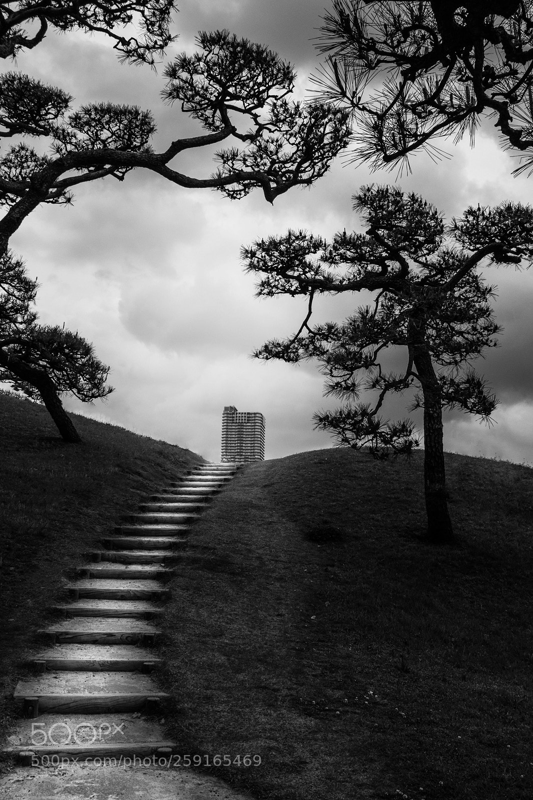 Canon EOS 60D sample photo. Trees and building photography
