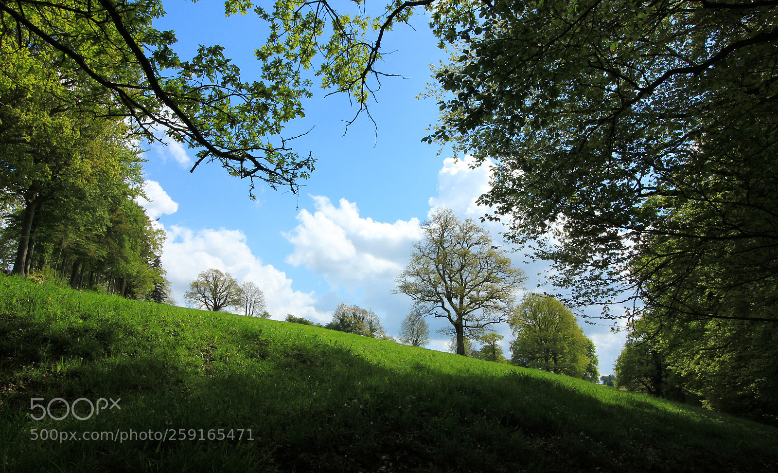 Canon EOS 550D (EOS Rebel T2i / EOS Kiss X4) sample photo. Campagne normande  photography