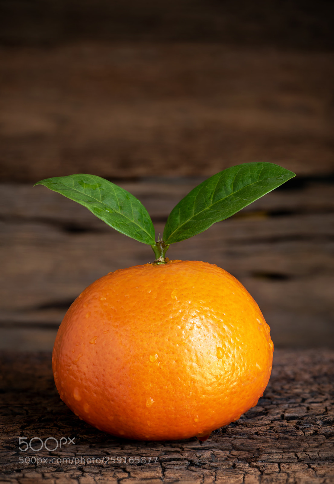Nikon D750 sample photo. Fresh orange on vintage photography