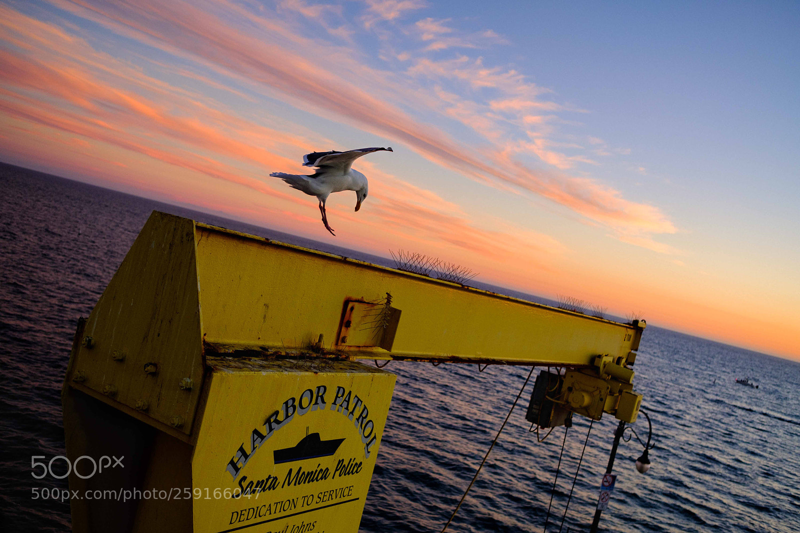 Fujifilm X-Pro2 sample photo. Landing at sunset photography