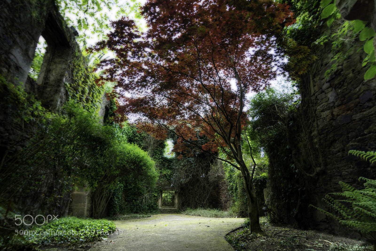 Nikon D7100 sample photo. Untitled photography