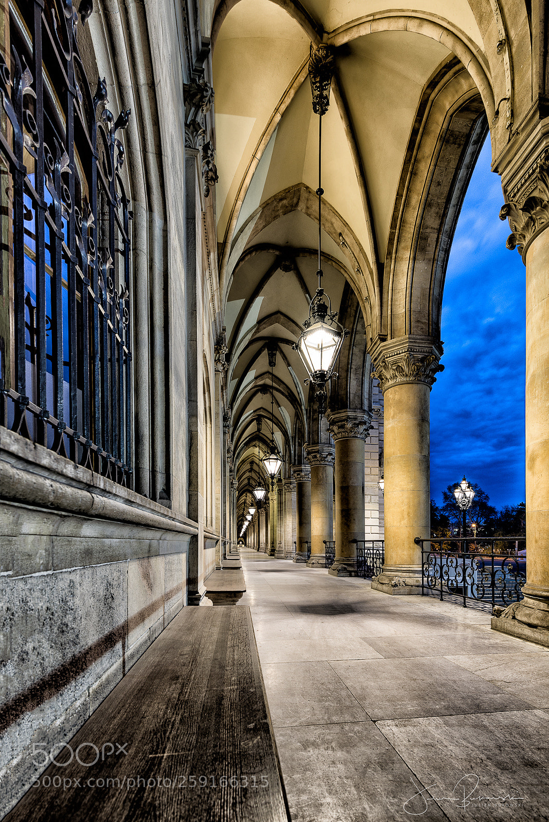 Nikon D800 sample photo. Rathaus (vienne - autriche) photography