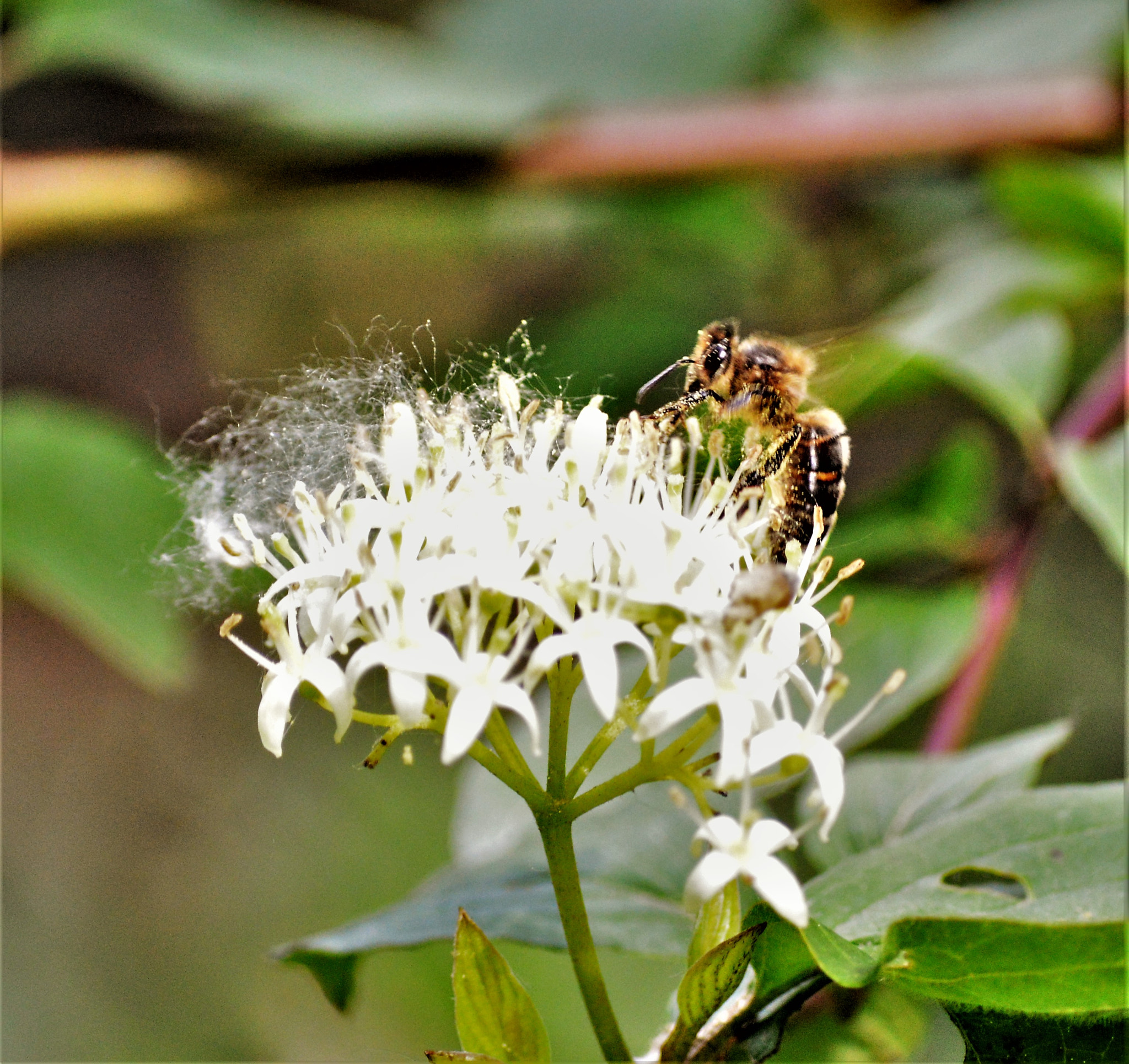Nikon D3200 sample photo