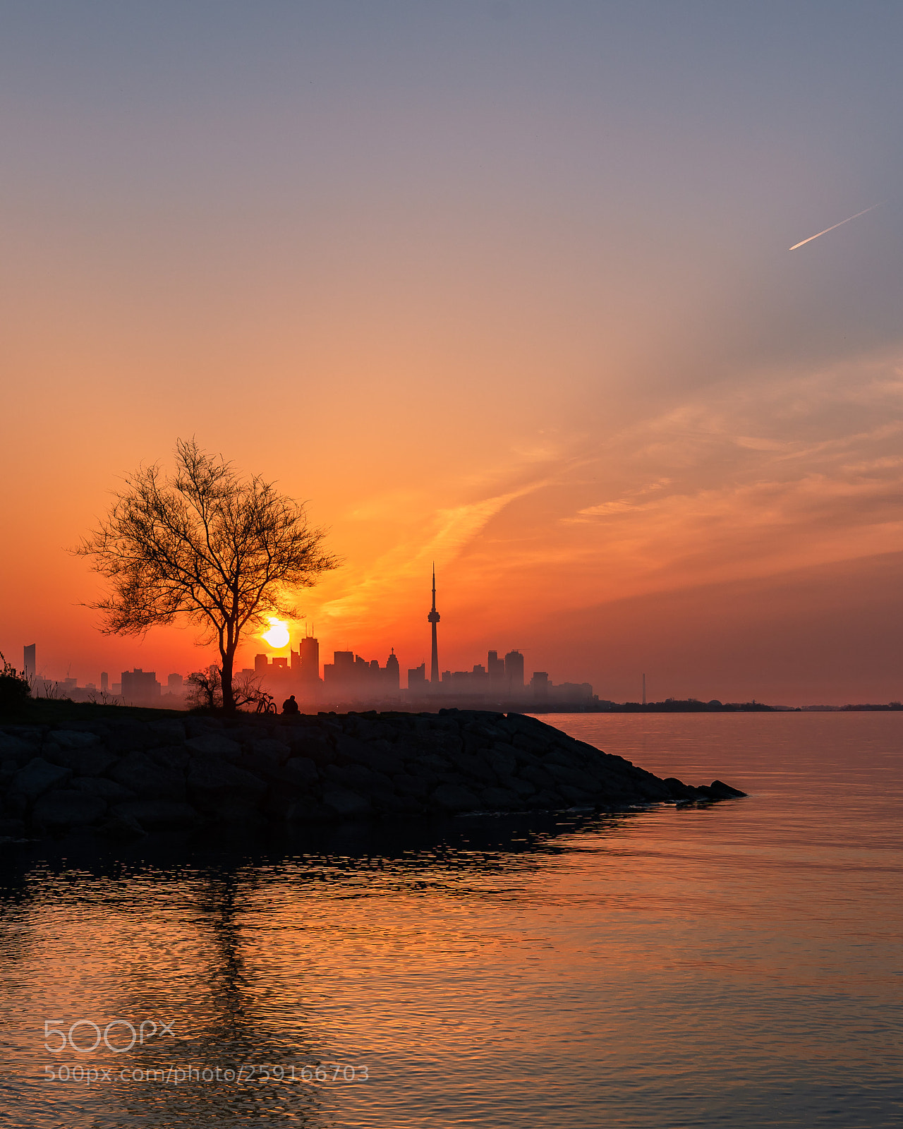 Canon EOS 5D Mark IV sample photo. Tree over toronto photography