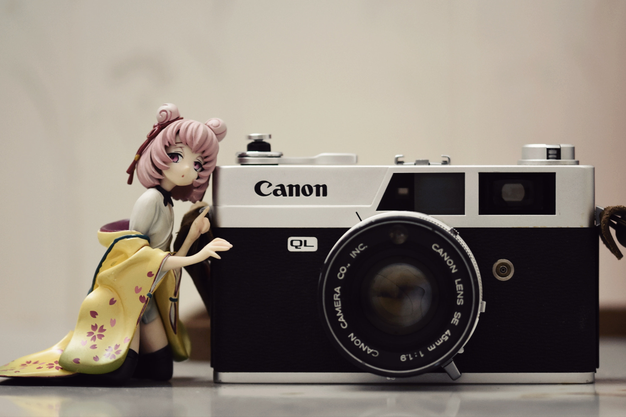 Nikon D7200 + Sigma 105mm F2.8 EX DG OS HSM sample photo. Canon ql19 photography
