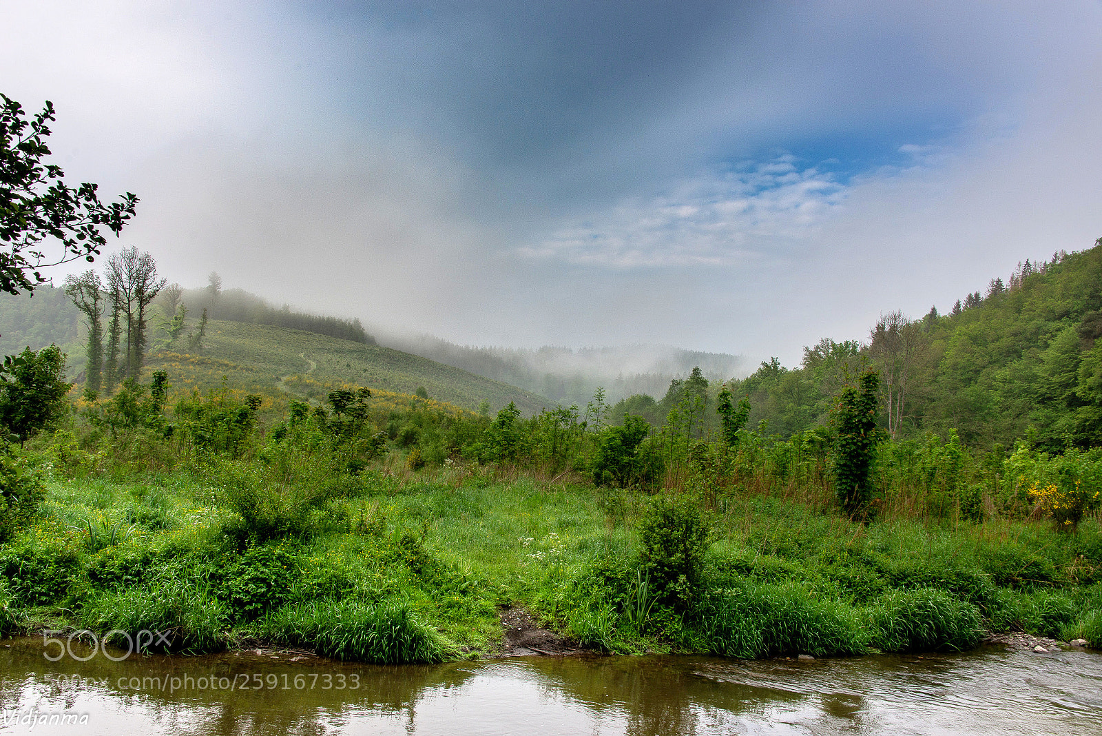 Nikon D610 sample photo. Fidelity photography