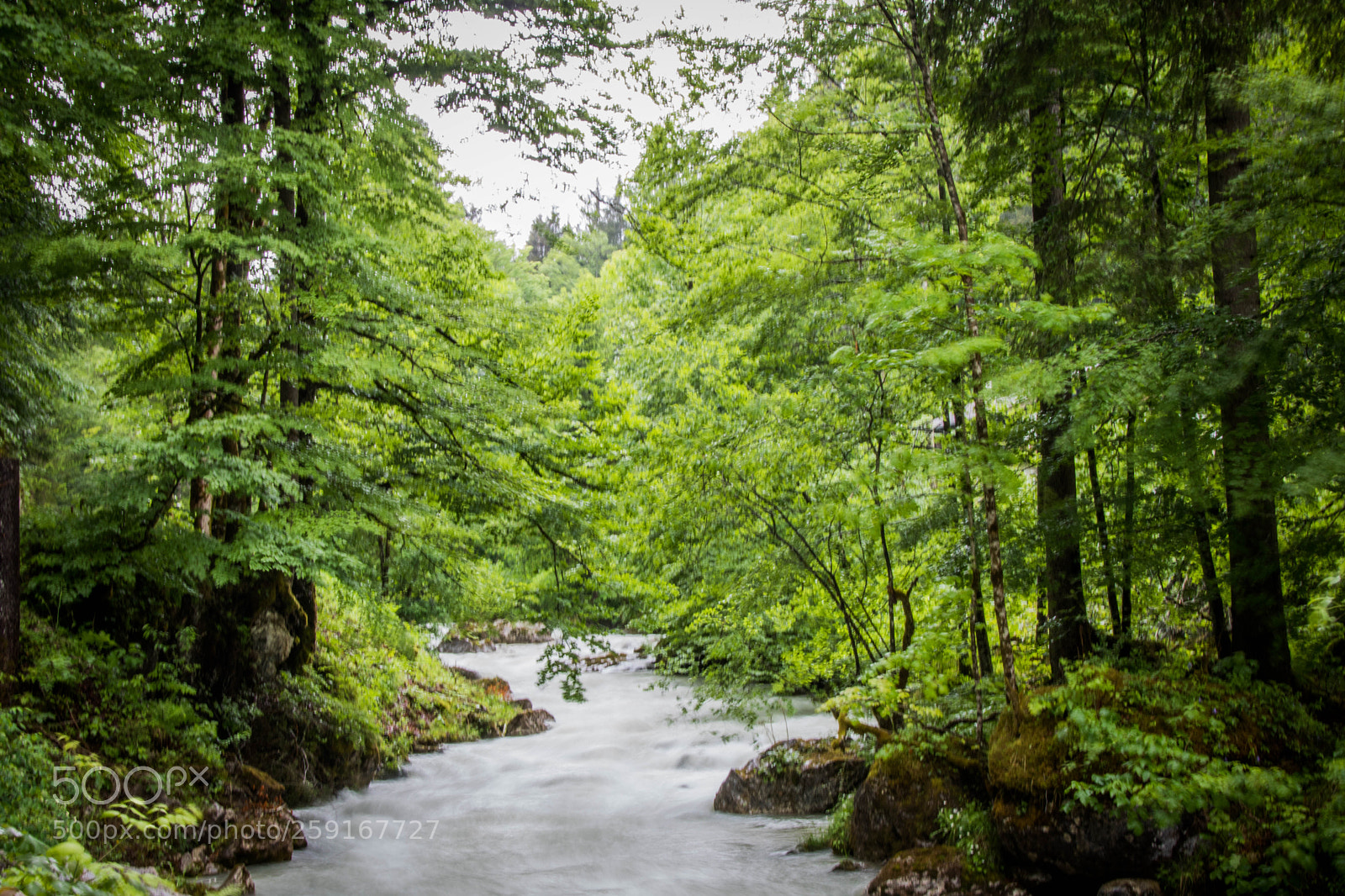 Canon EOS 750D (EOS Rebel T6i / EOS Kiss X8i) sample photo. Zauberwald, ramsau  photography