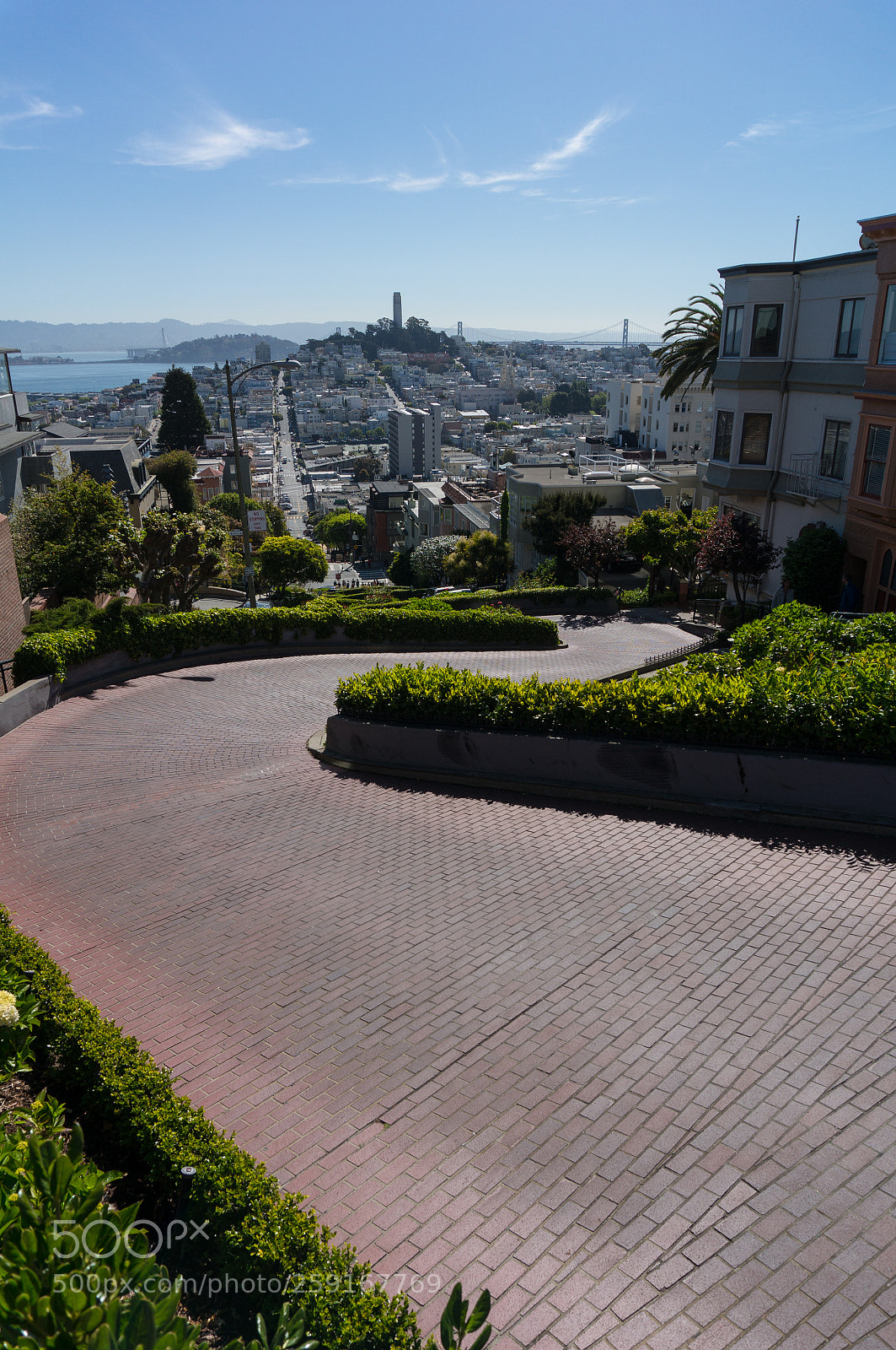 Sony Alpha NEX-6 sample photo. Lombard street, san francisco photography