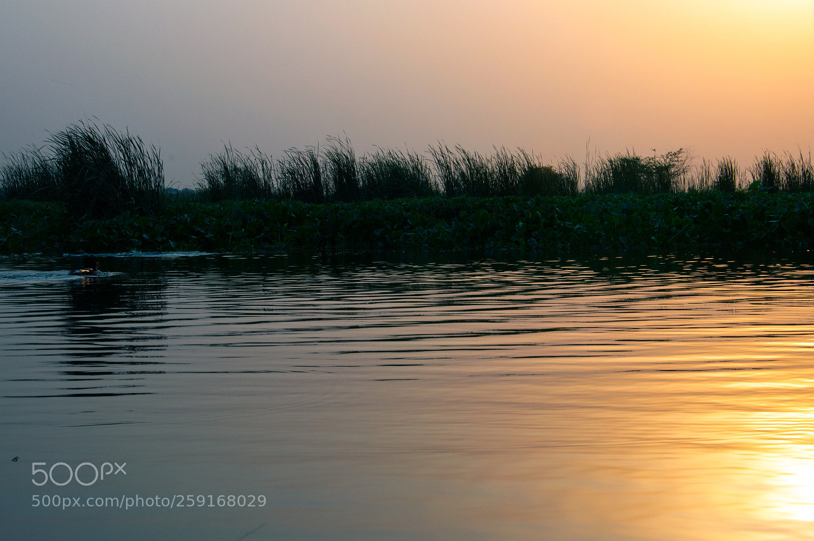 Nikon D90 sample photo. When evening shows you photography