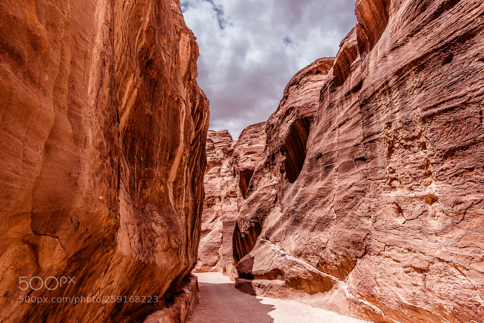 Nikon D750 sample photo. Petra, Сanyon, jordan photography