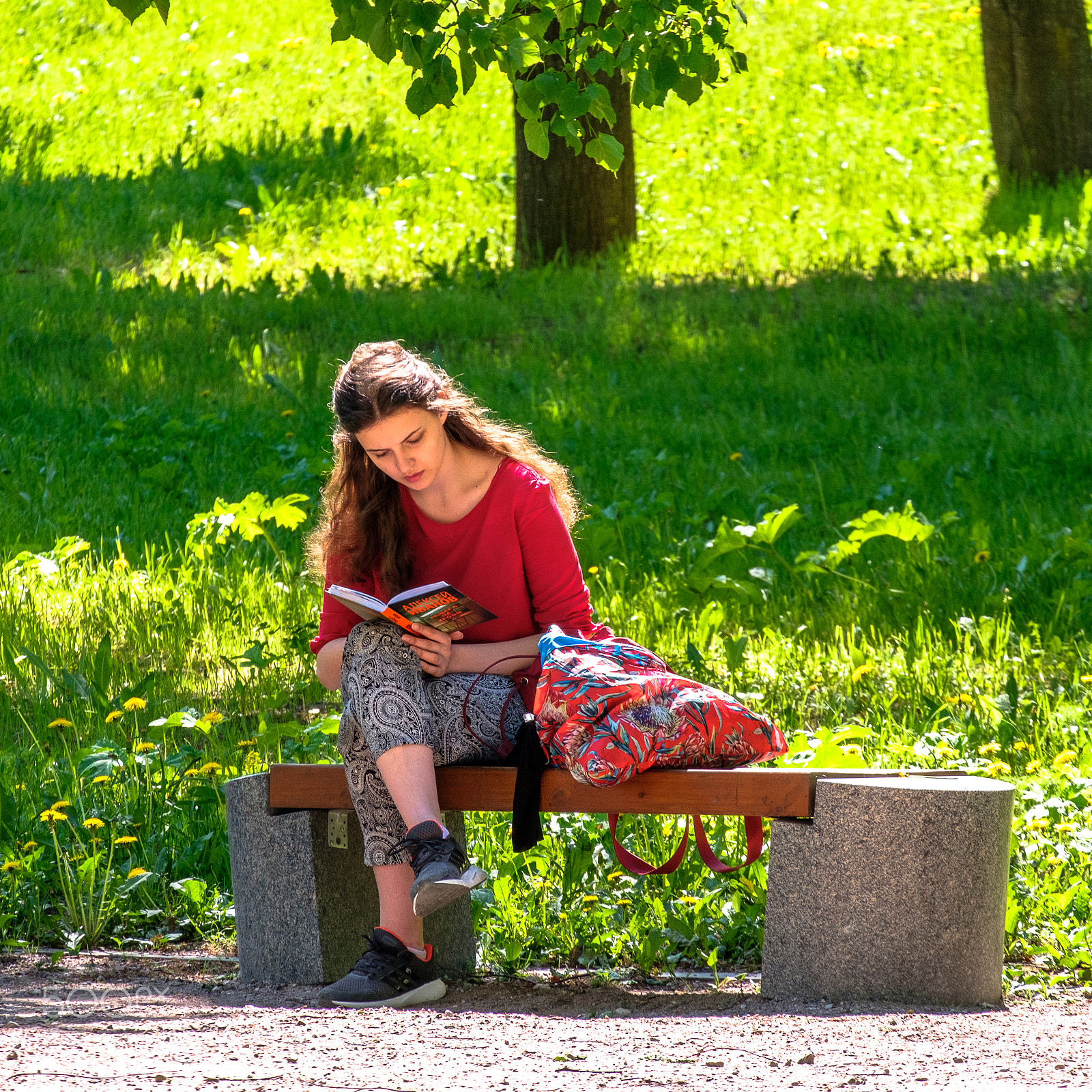Fujifilm X-T20 sample photo. Fsas8725-2.jpg photography