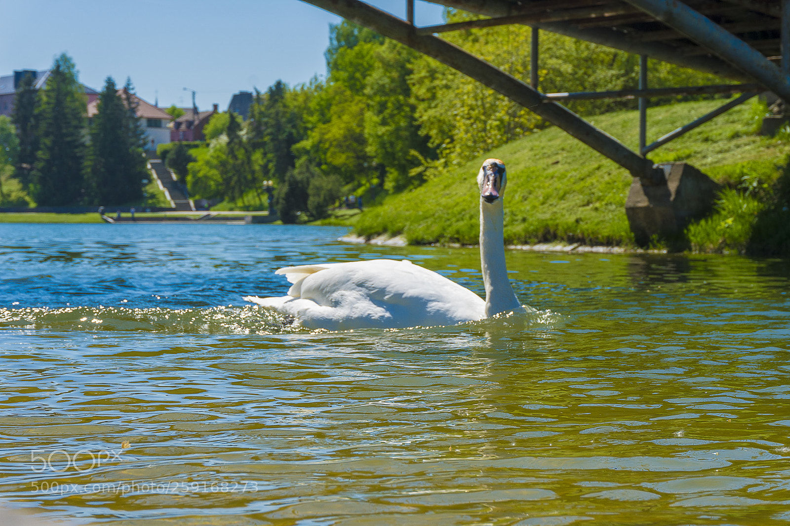 Sony a6300 sample photo. Dsc photography