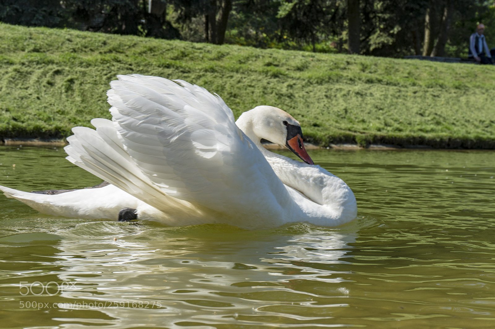 Sony a6300 sample photo. Dsc photography