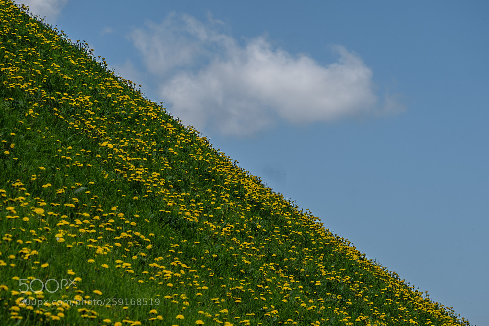 Fujifilm X-T20 sample photo. Fsas8742-2.jpg photography