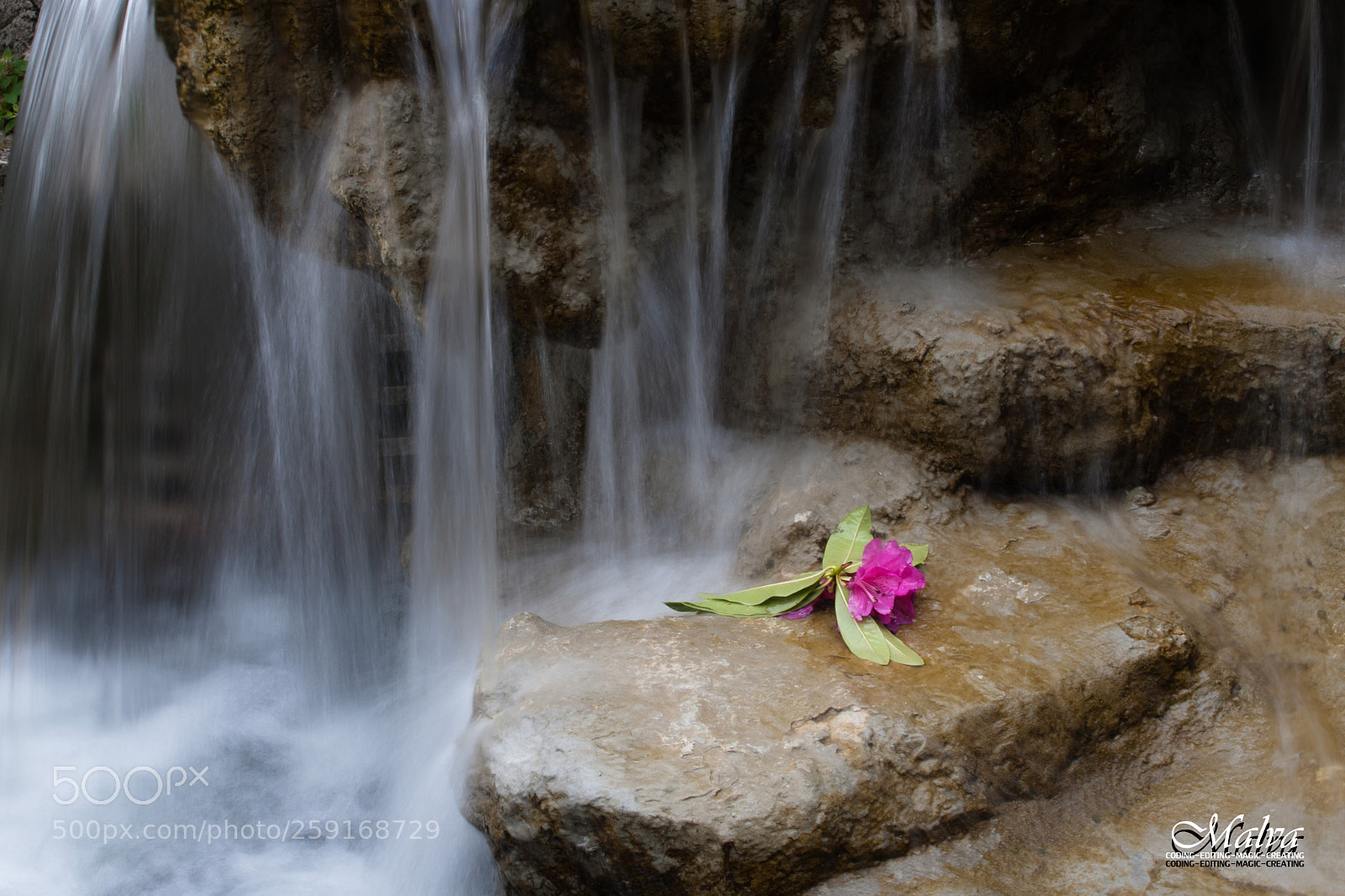Canon EOS 40D sample photo. Villetta di negro photography