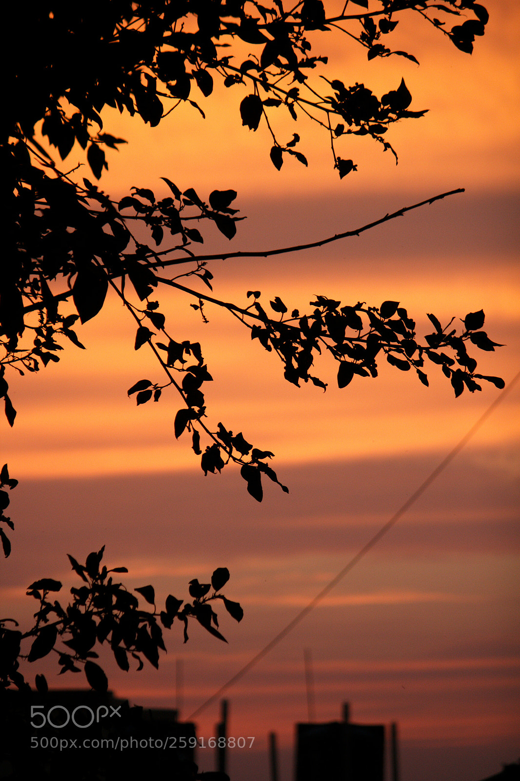 Canon EOS 1200D (EOS Rebel T5 / EOS Kiss X70 / EOS Hi) sample photo. Shades of the sky photography