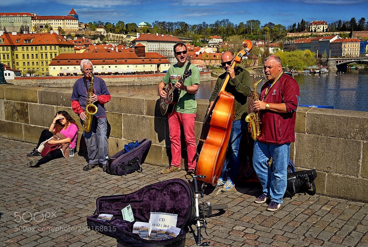 Nikon D3100 sample photo. The charles bridge swing photography