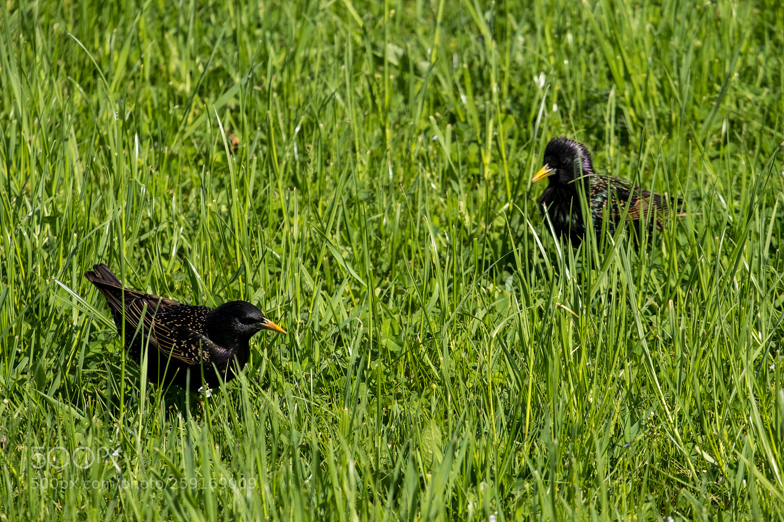 Fujifilm X-T20 sample photo. Fsas8752-2.jpg photography