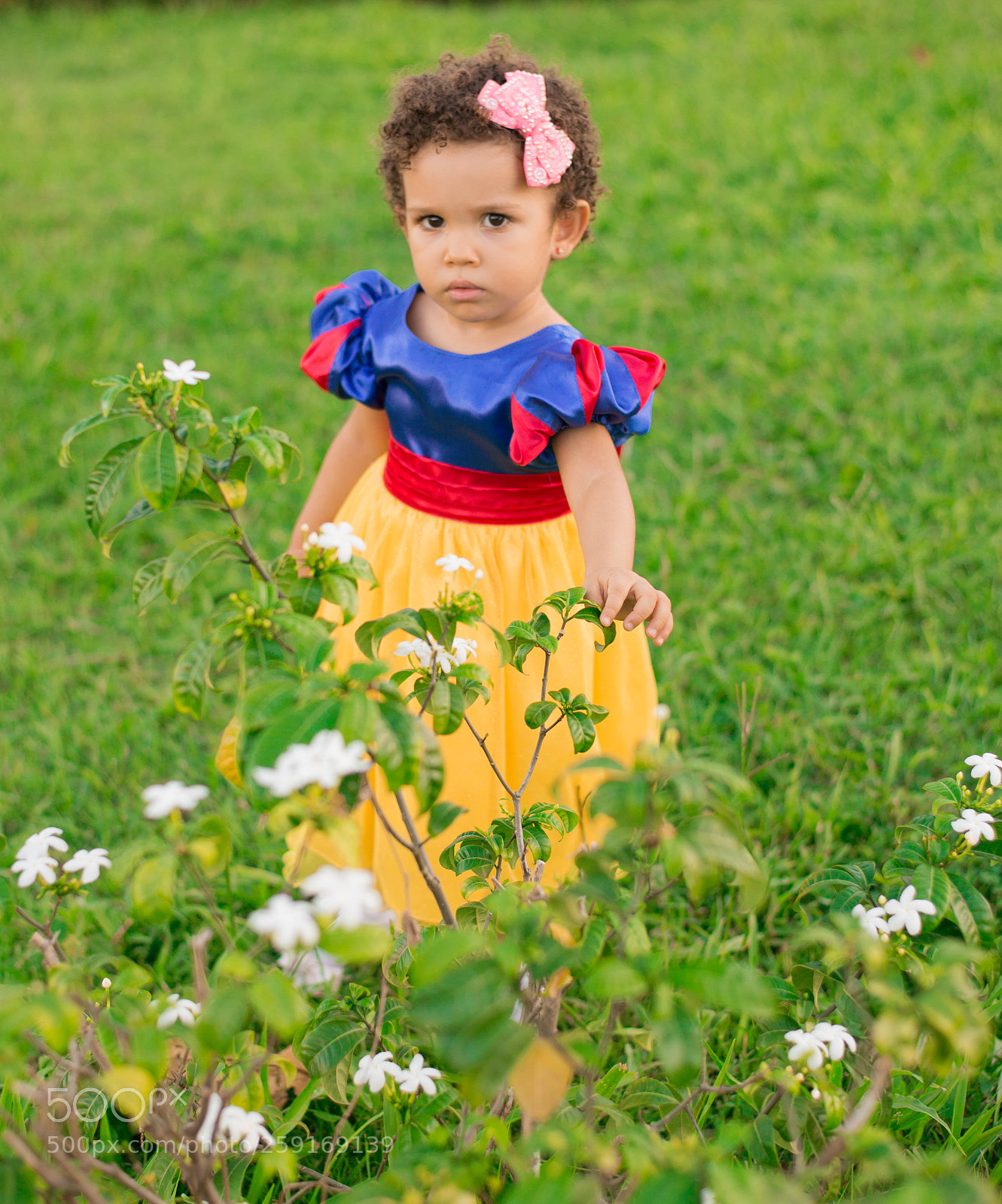 Nikon D610 sample photo. Untitled photography