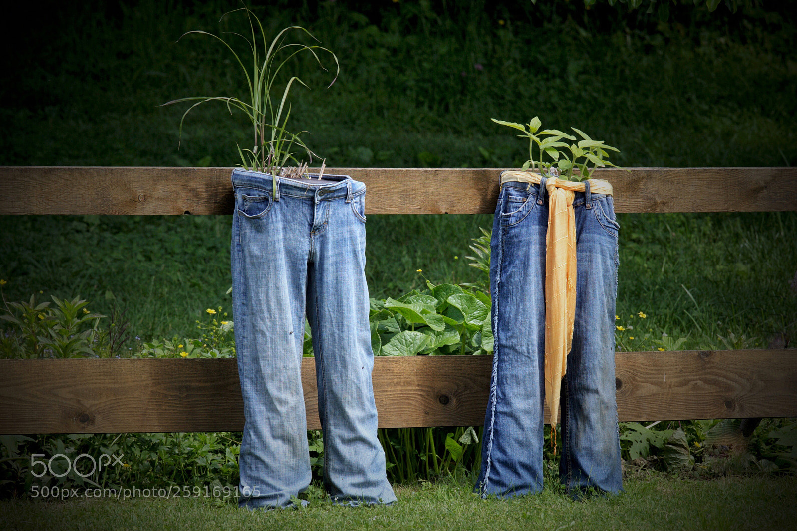 Canon EOS 6D sample photo. Jeans pot photography