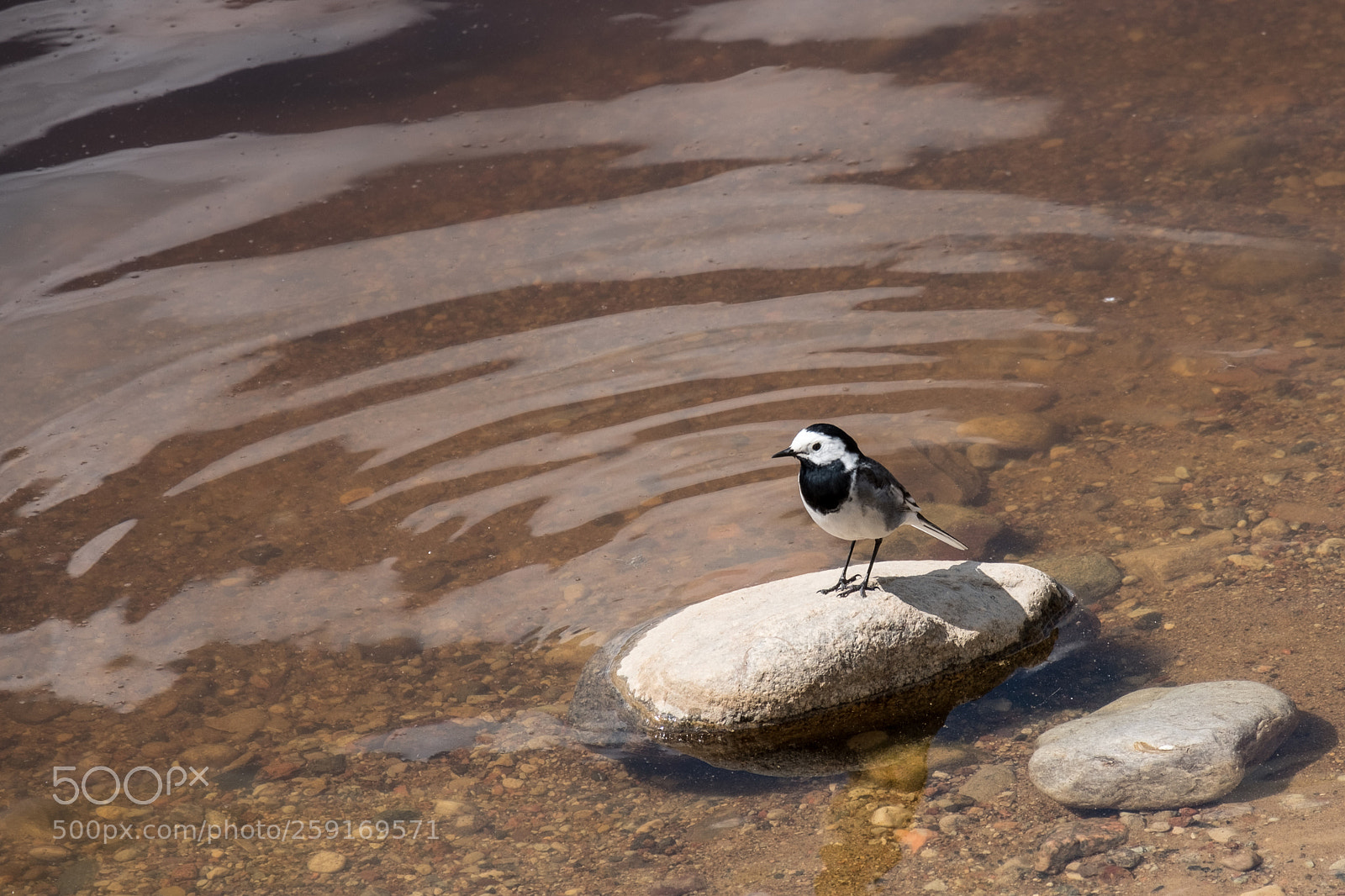 Fujifilm X-T20 sample photo. Fsas8740-2.jpg photography