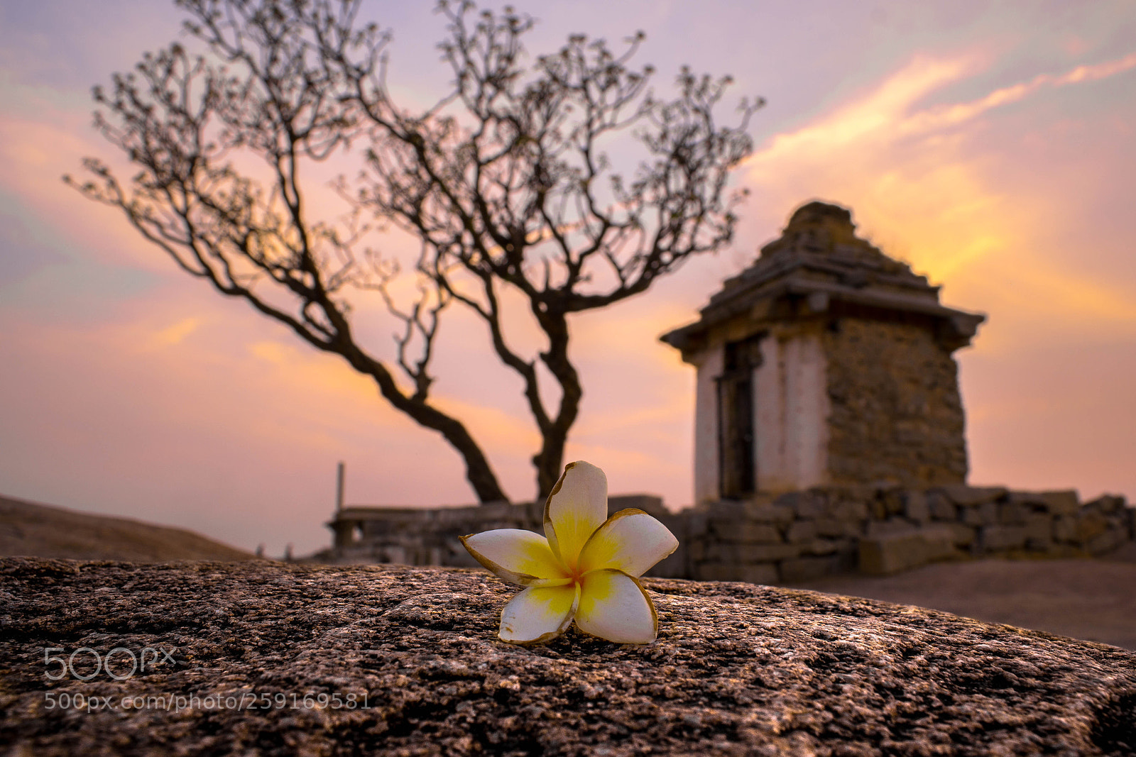 Nikon D5300 sample photo. Composition of ruins photography