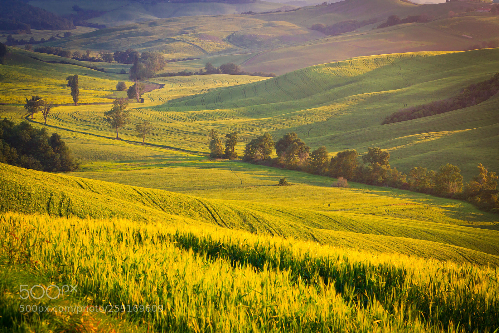 Canon EOS 5D Mark II sample photo. Toscana photography