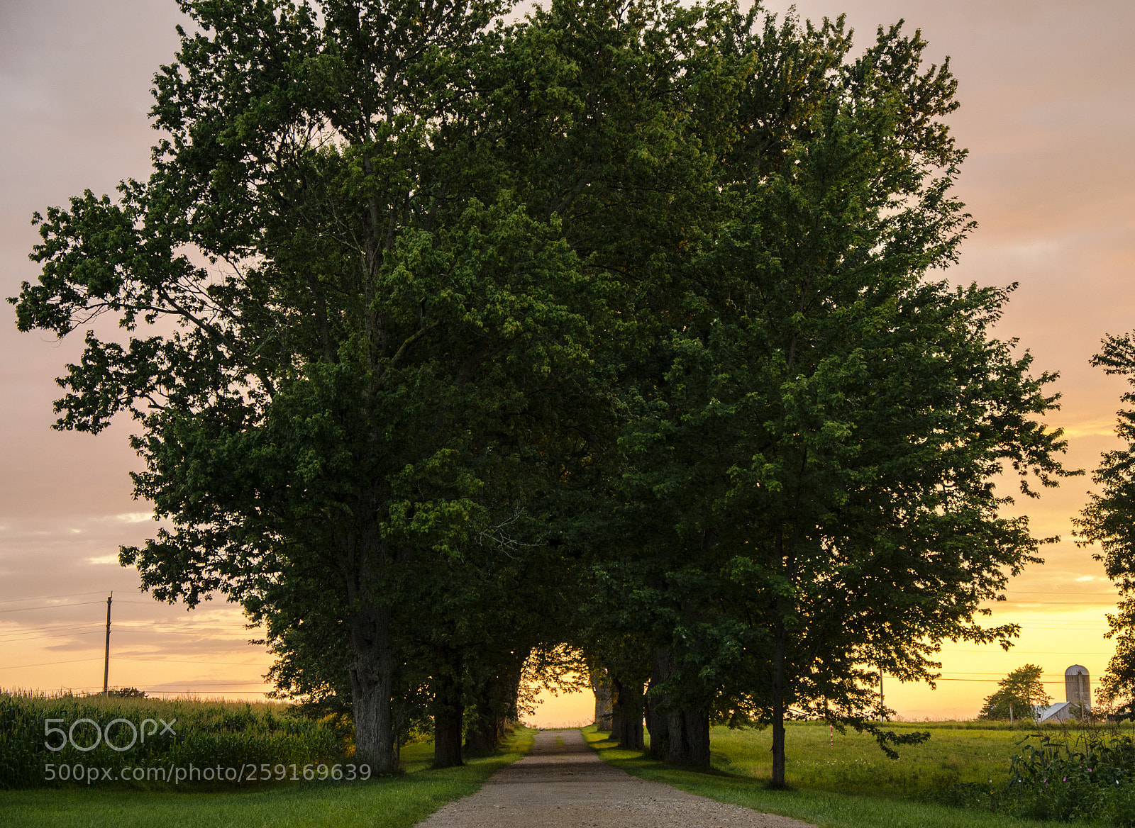 Nikon D5100 sample photo. Driveway photography