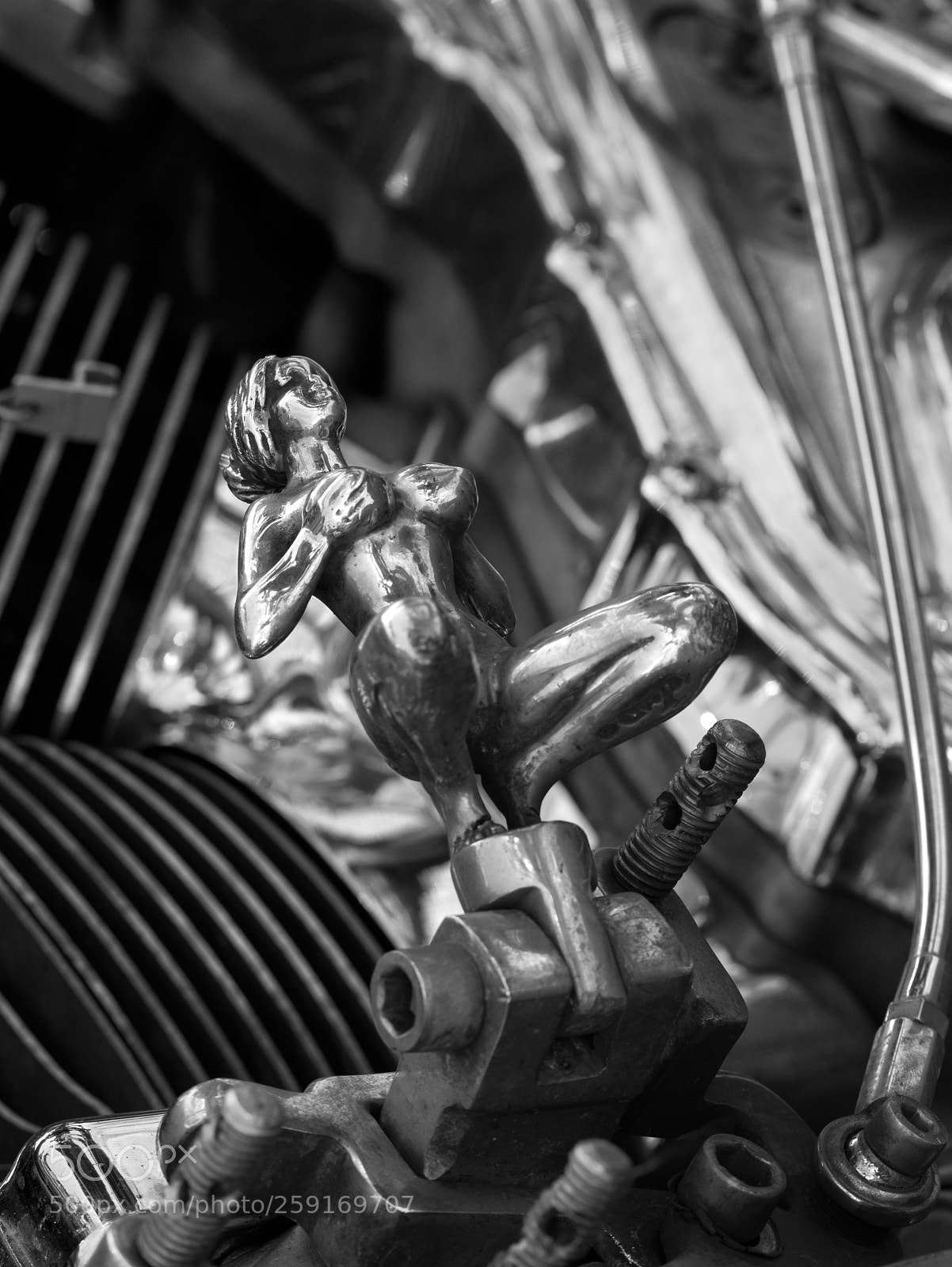 Nikon D7200 sample photo. Customisée 2 photography