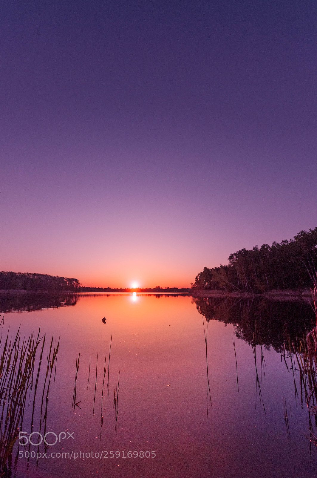 Nikon D90 sample photo. Sunrise photography