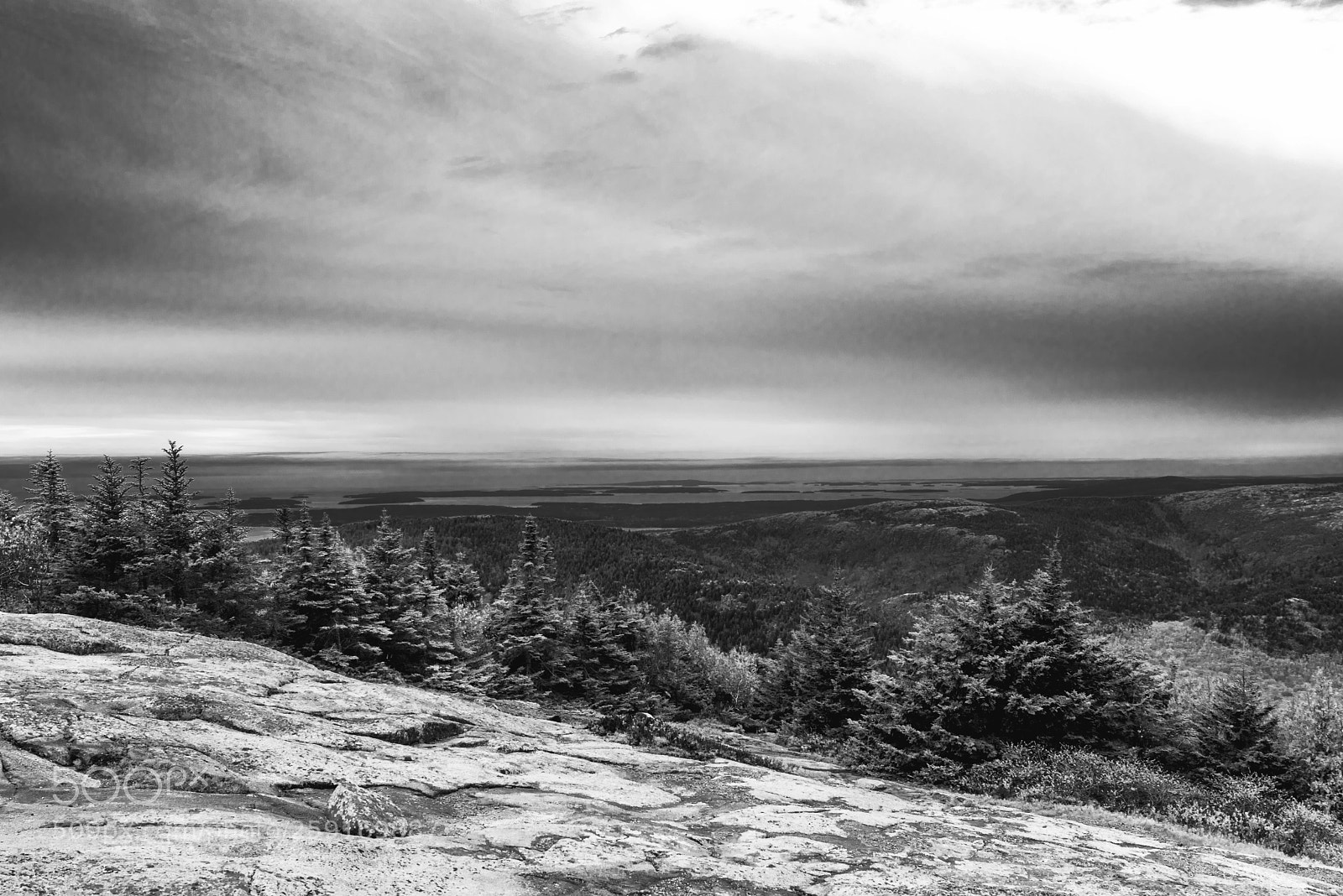 Nikon D750 sample photo. Cadillac photography