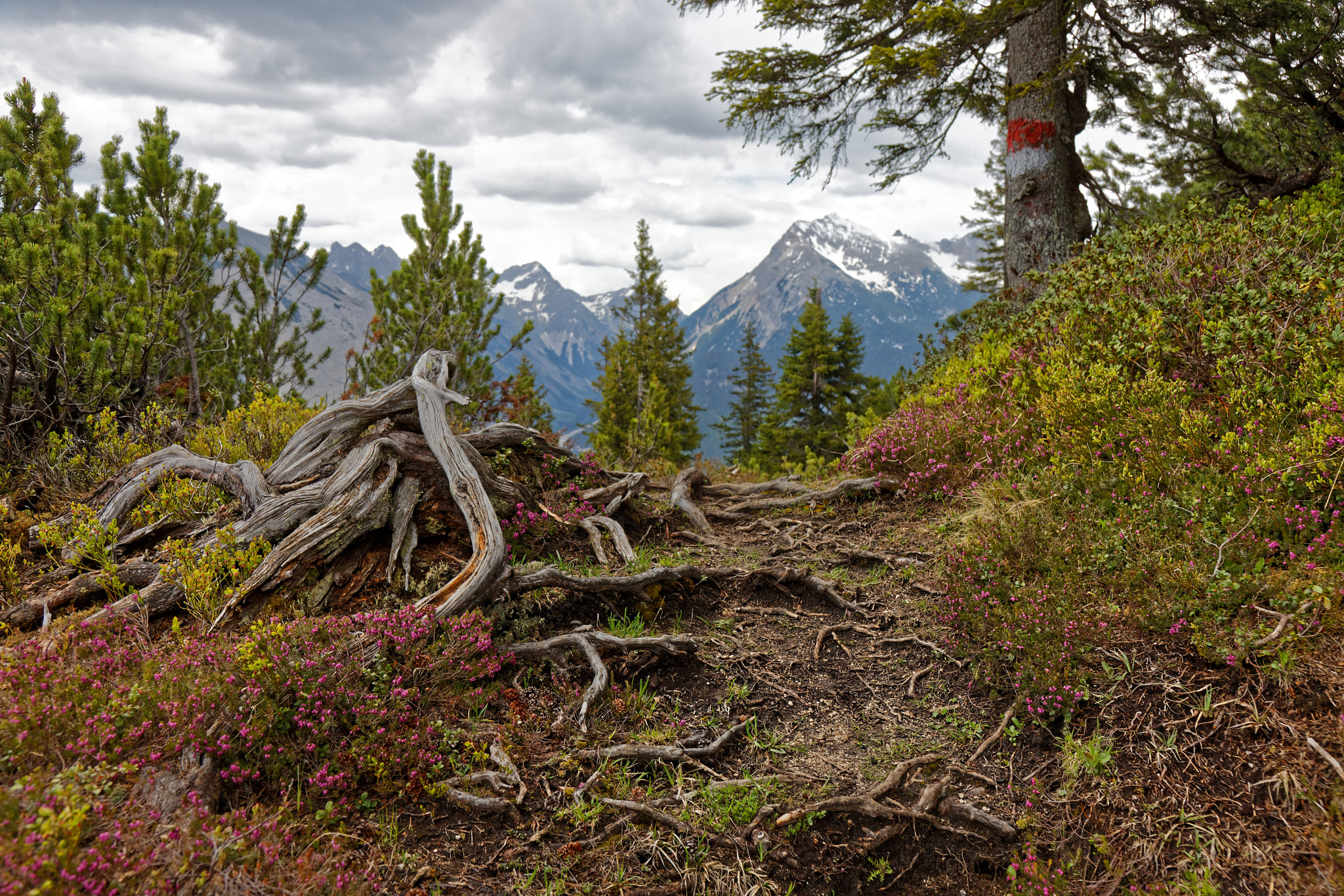 Canon EOS 6D Mark II sample photo. Im karwendel photography