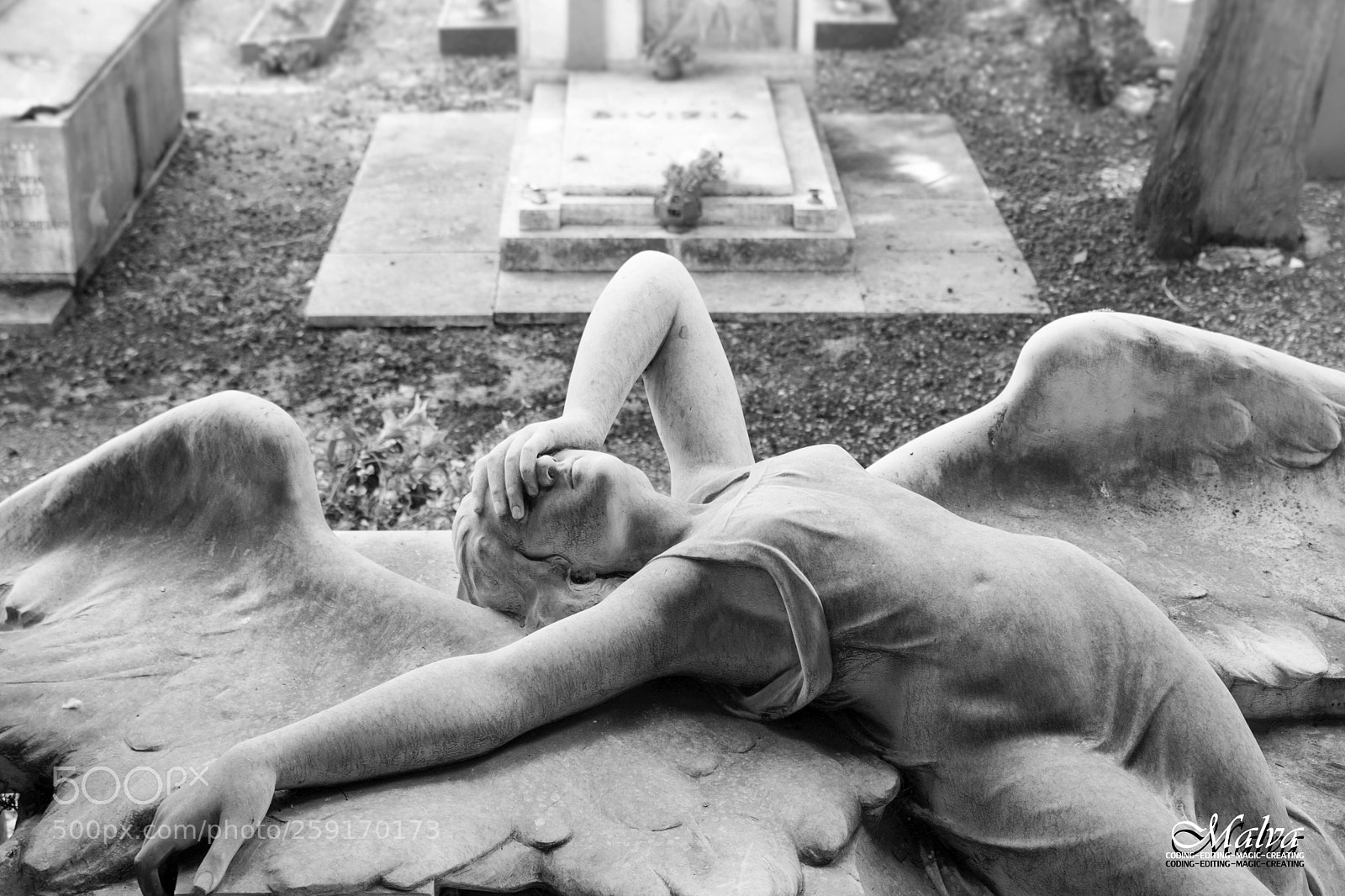 Canon EOS 40D sample photo. Fallen angel photography