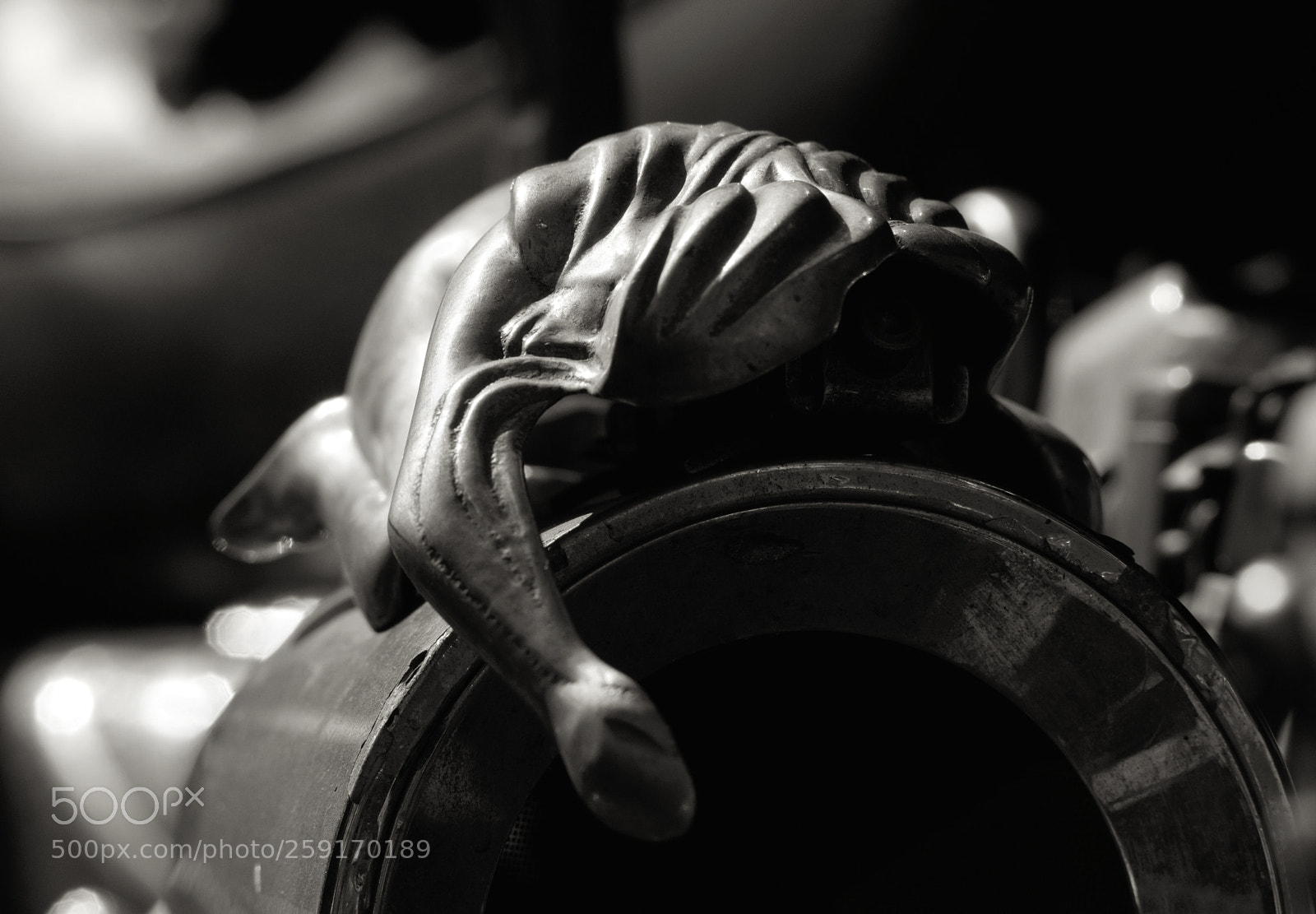 Nikon D7200 sample photo. Customisée photography