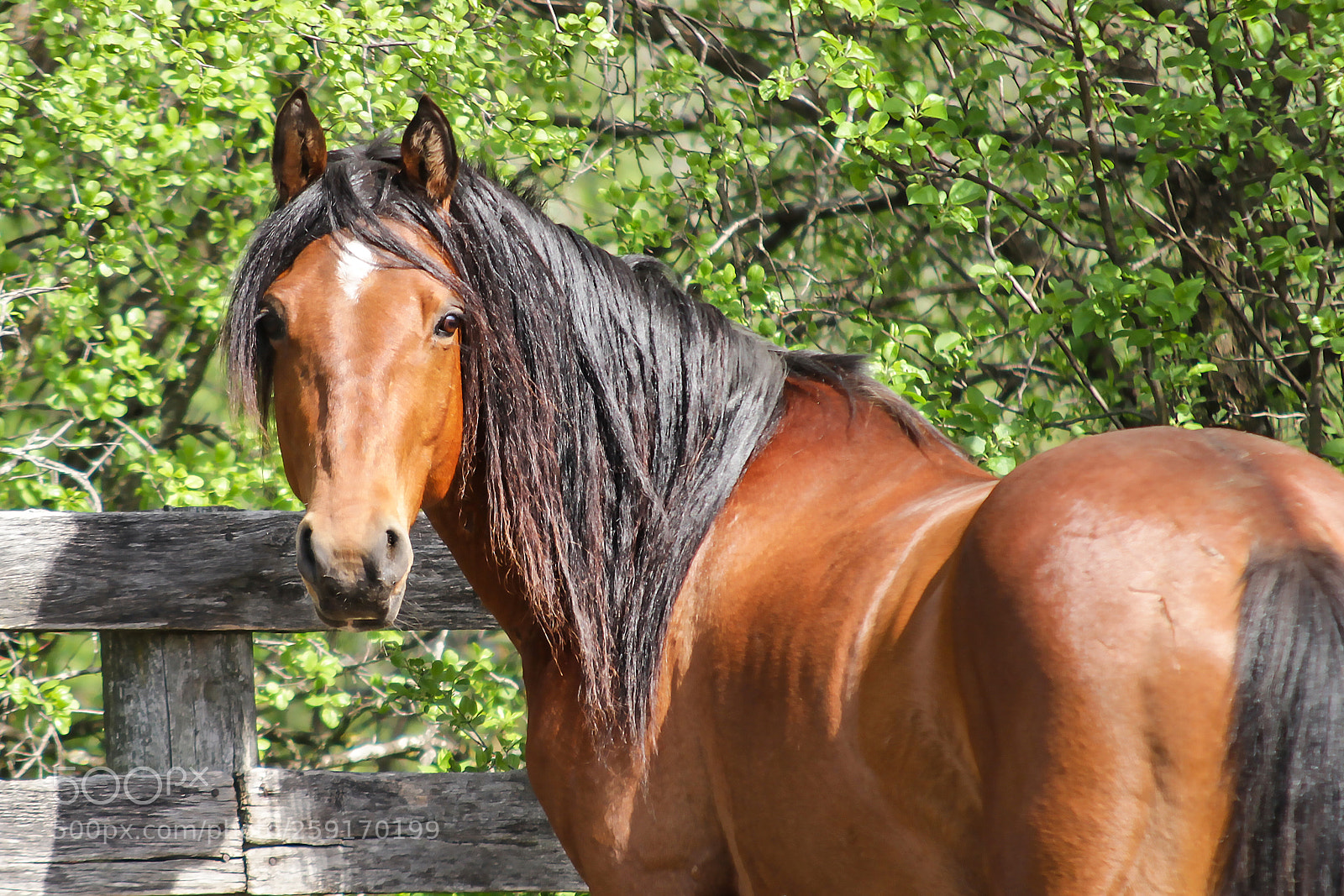 Canon EOS 7D sample photo. Looking back photography