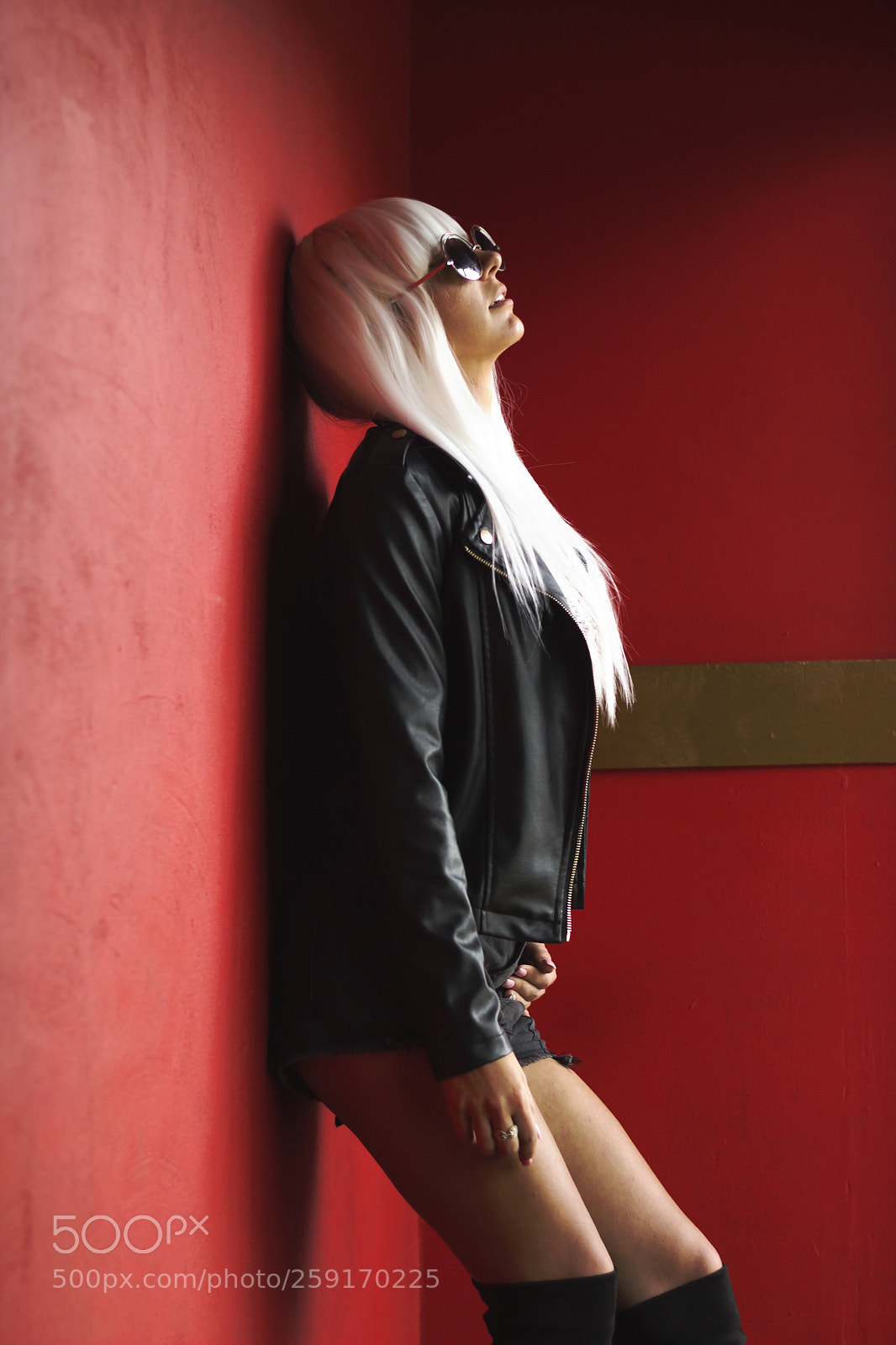 Canon EOS 600D (Rebel EOS T3i / EOS Kiss X5) sample photo. Red gaga photography