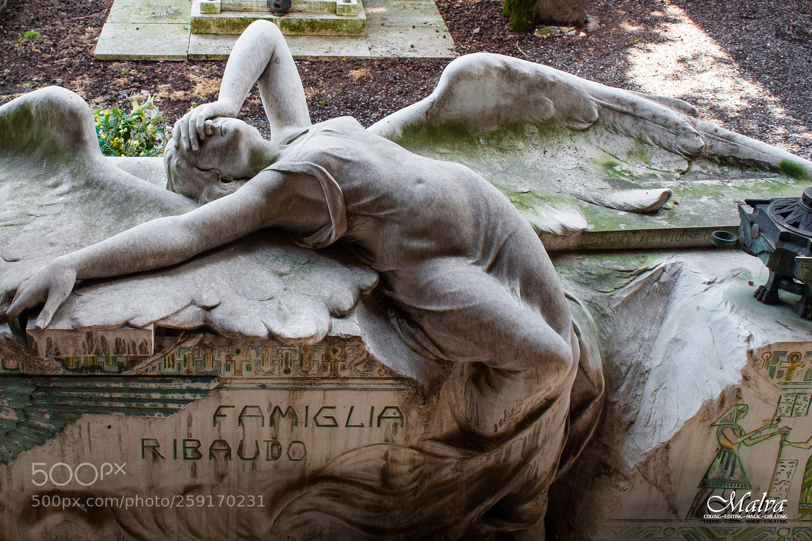 Canon EOS 40D sample photo. Fallen angel photography