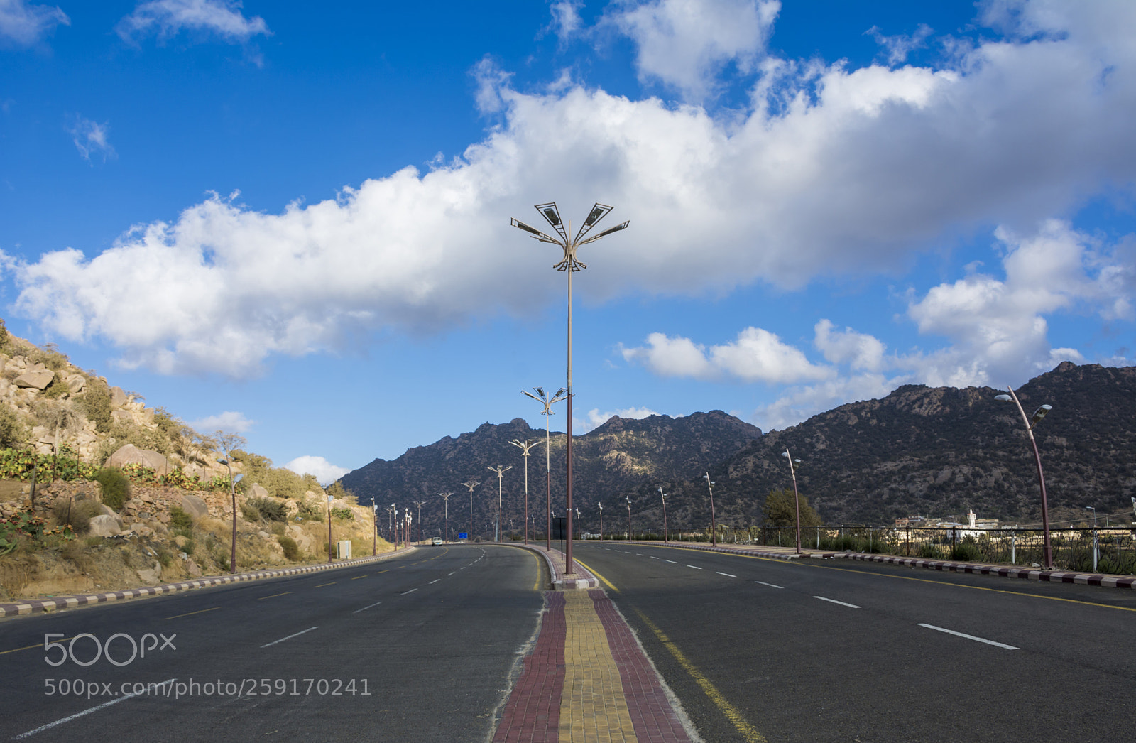 Nikon D7100 sample photo. Road photography
