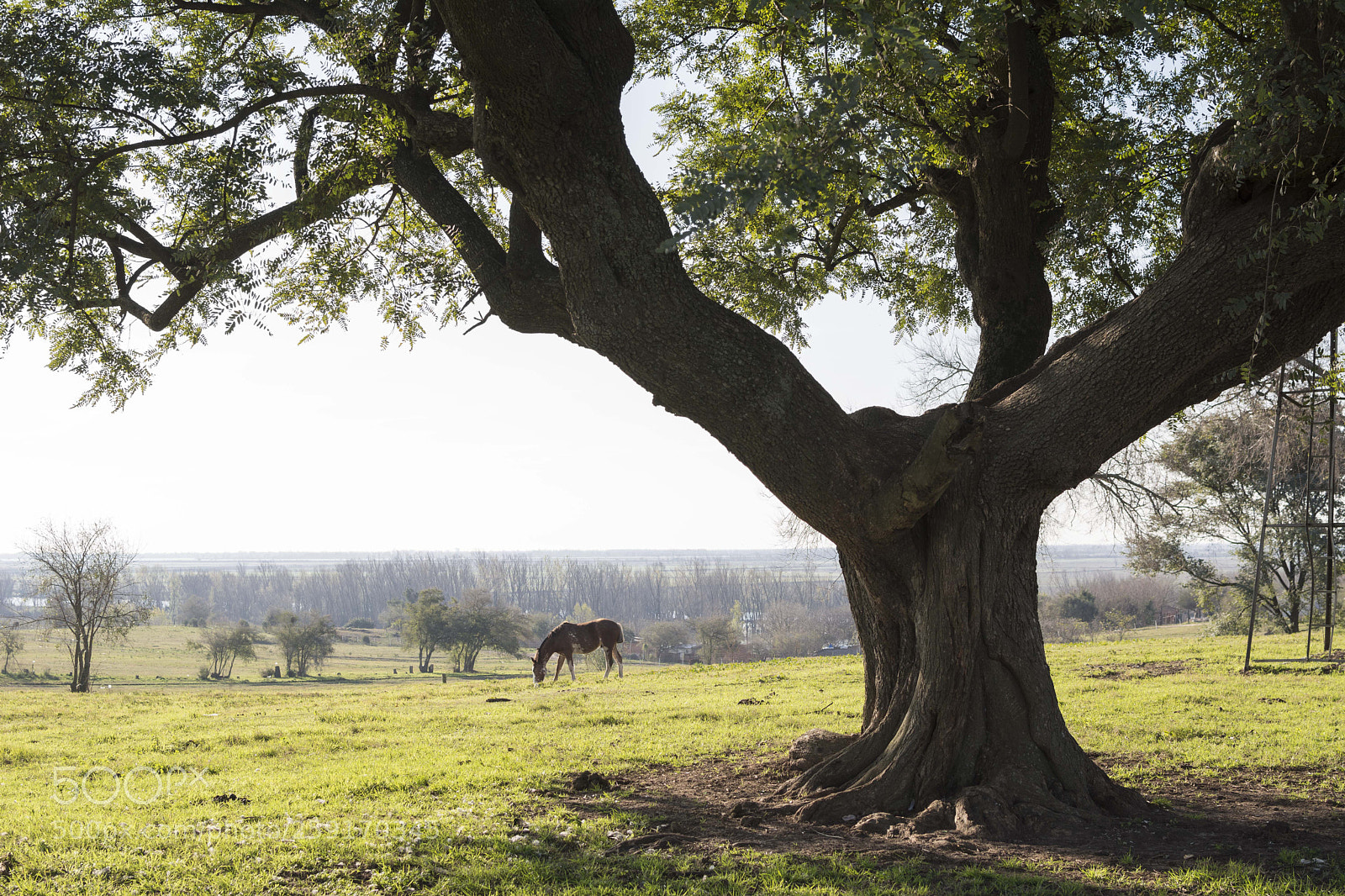 Nikon D7100 sample photo. True horizon photography