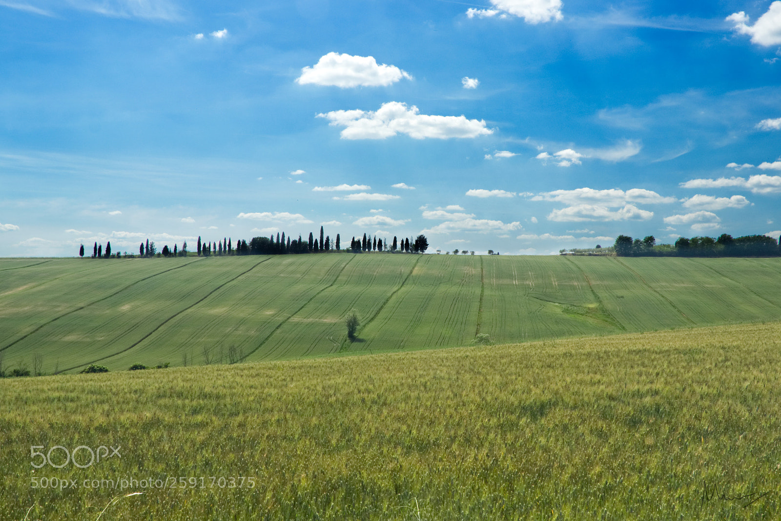 Canon EOS 80D sample photo. Green tuscany. photography