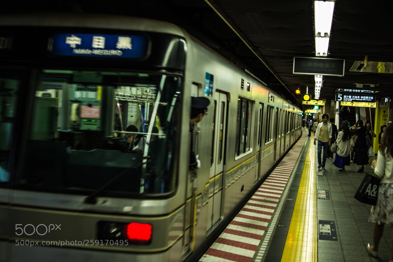 Nikon D7100 sample photo. Untitled photography