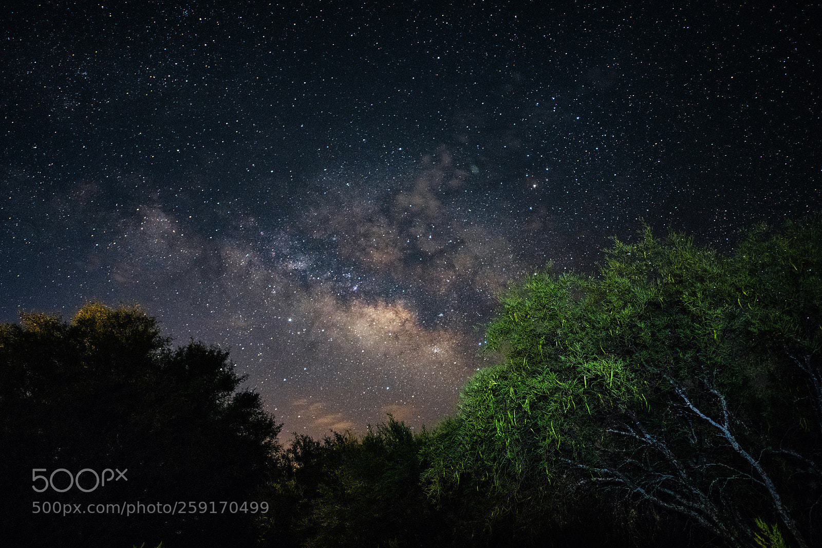 Nikon D850 sample photo. Milky way over durango photography