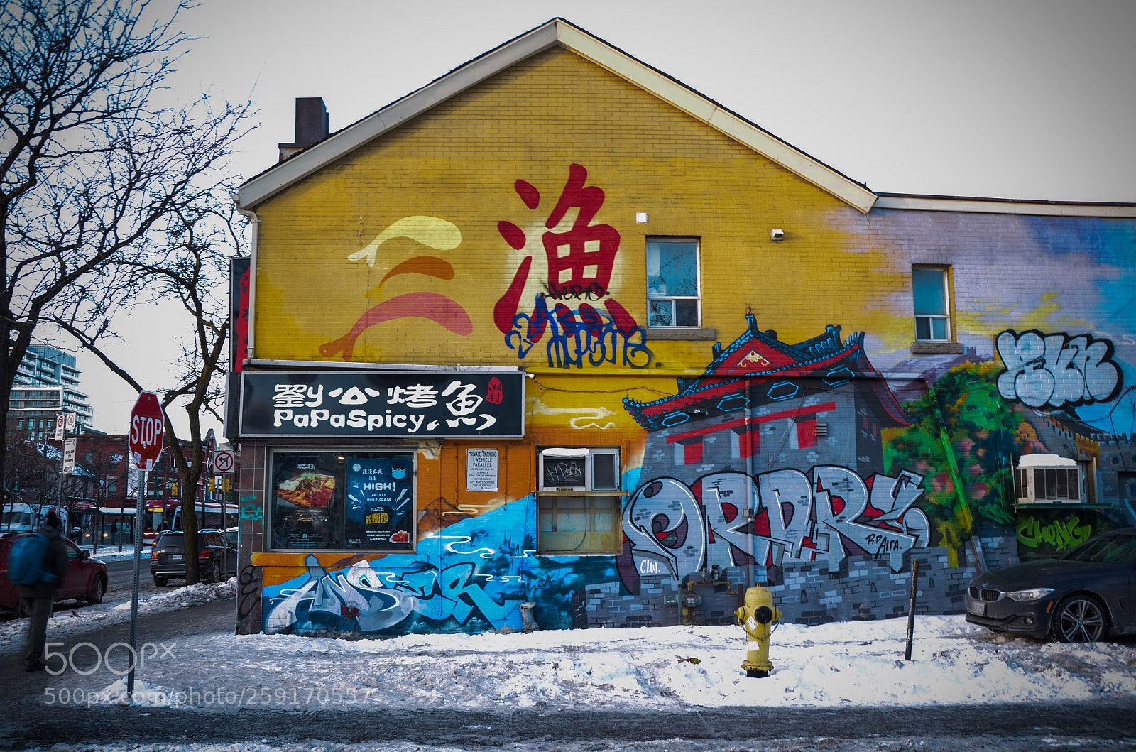 Nikon D5100 sample photo. China town photography