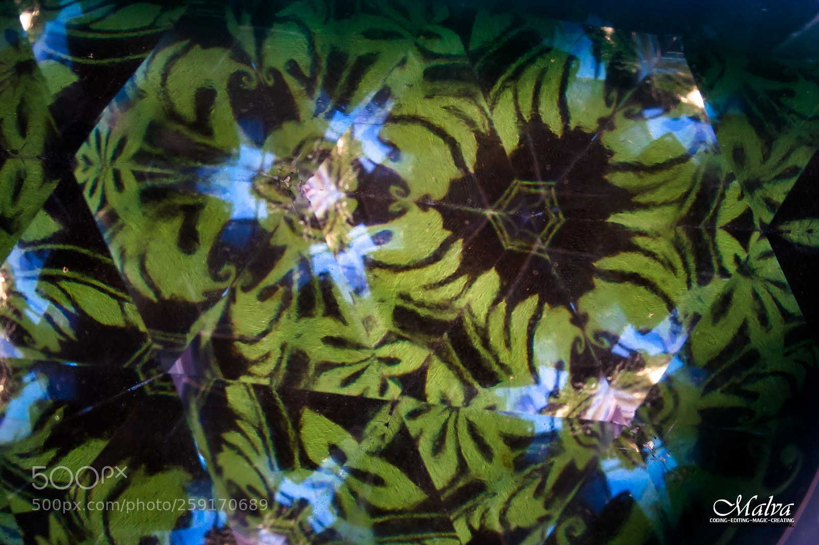 Canon EOS 40D sample photo. Kaleidoscopic fun photography