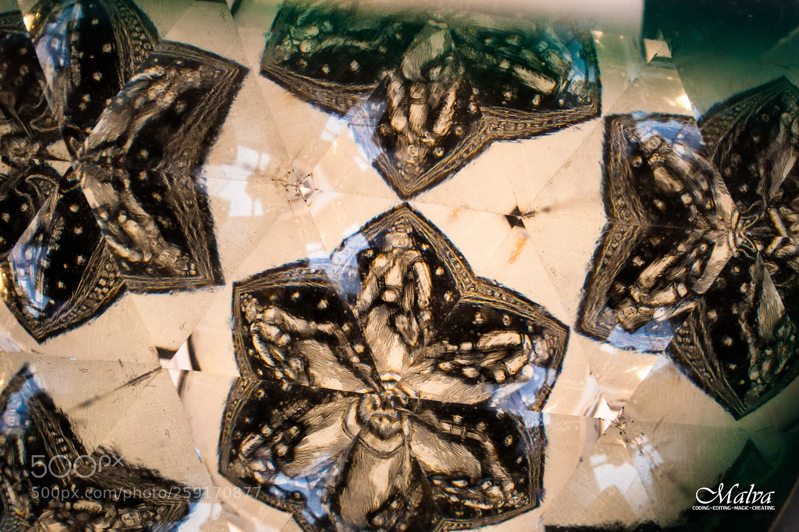 Canon EOS 40D sample photo. Kaleidoscopic fun photography