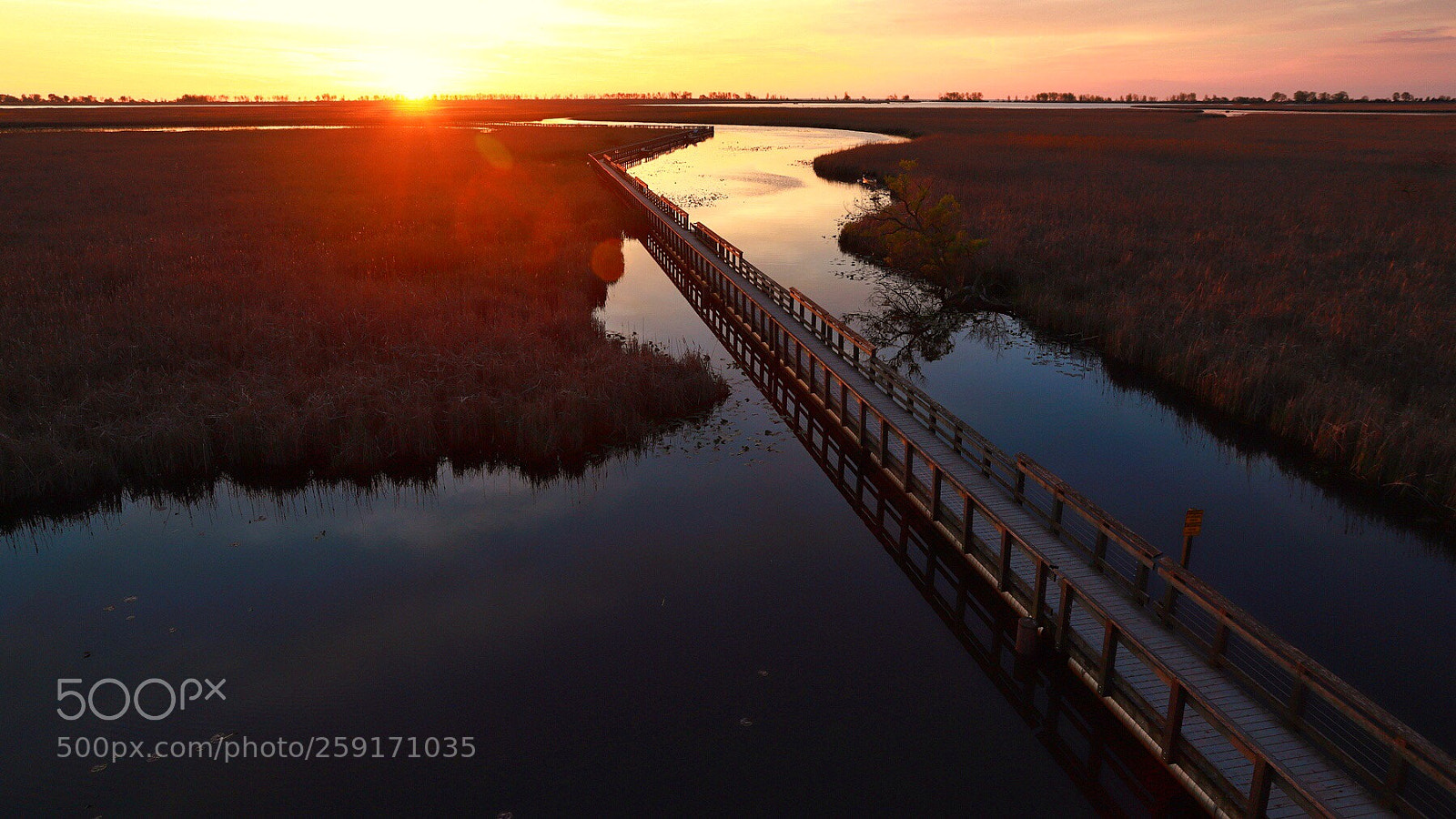 Canon EOS 6D Mark II sample photo. Sunrise at point pelee photography