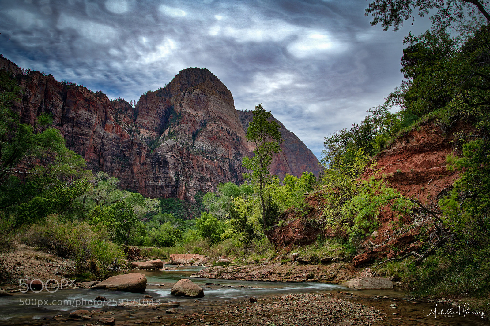 Nikon D850 sample photo. Zion photography
