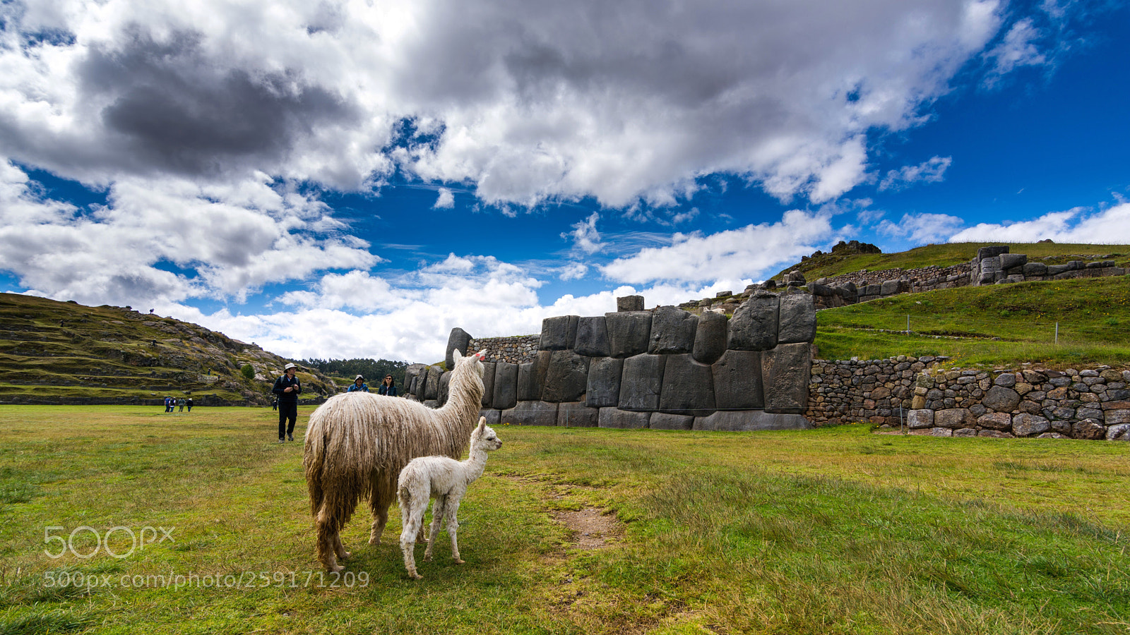 Nikon D7200 sample photo. Sacsayhuamán photography